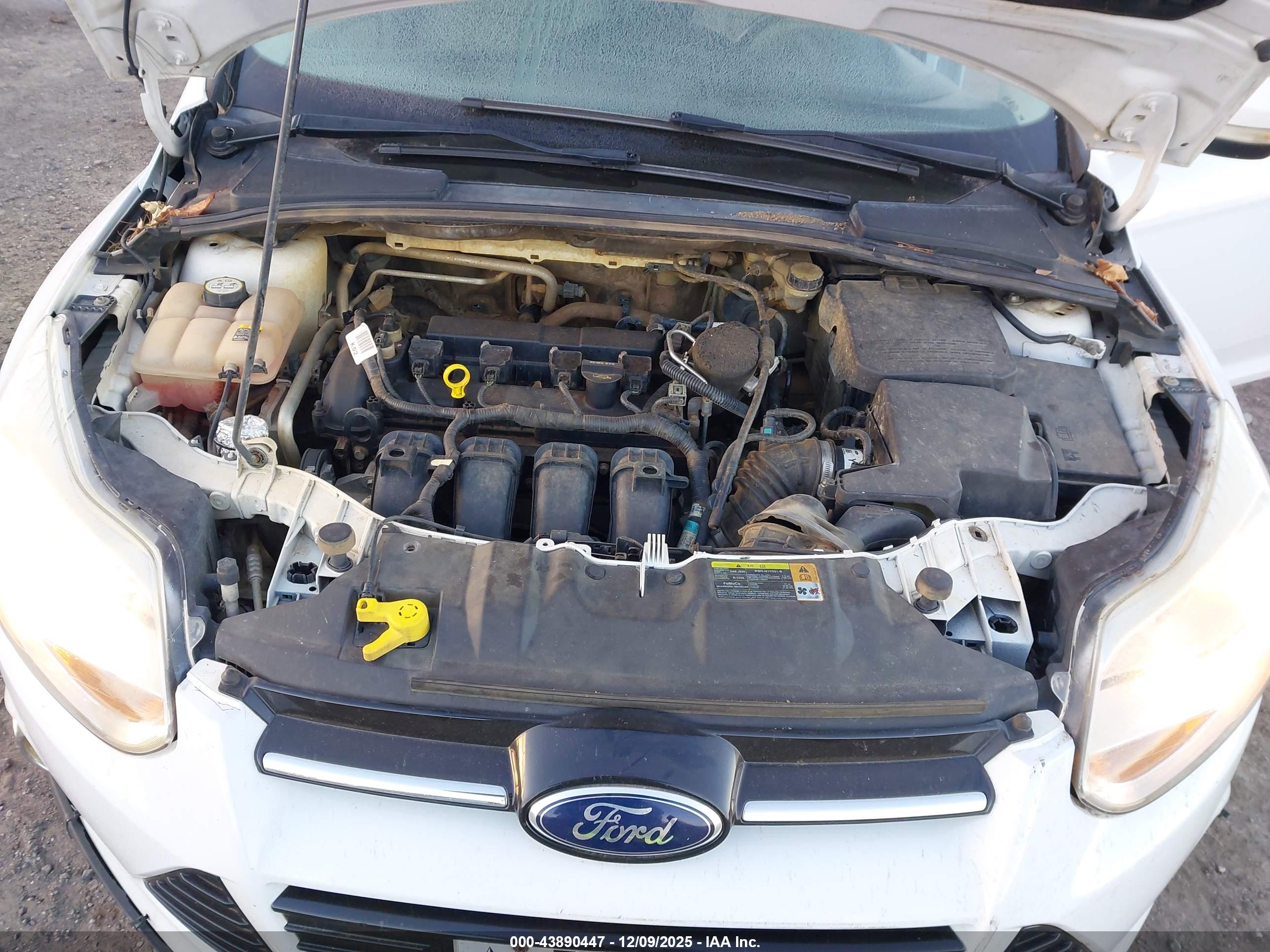 FORD FOCUS image 10