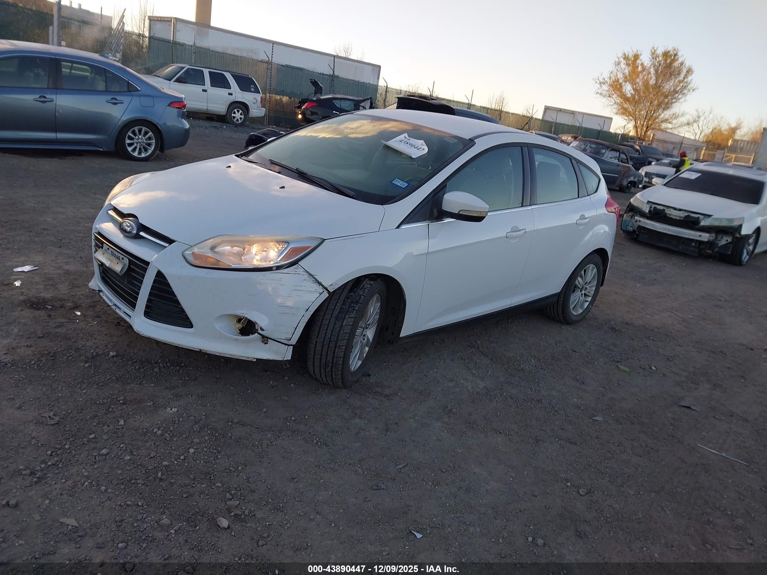 FORD FOCUS image 2