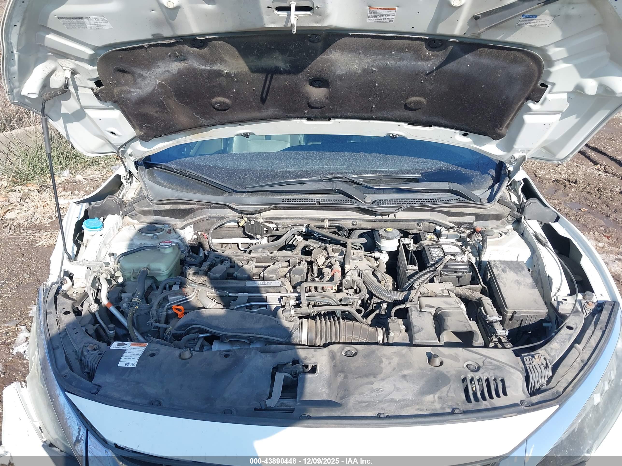 HONDA CIVIC image 10