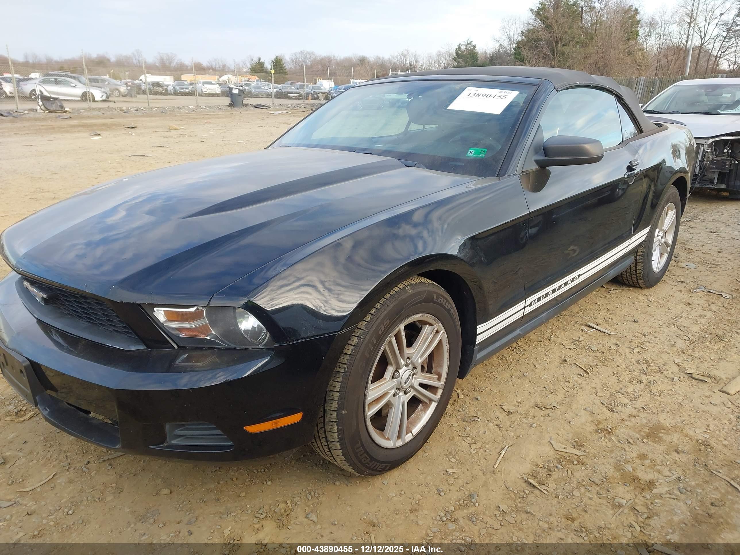 FORD MUSTANG image 2