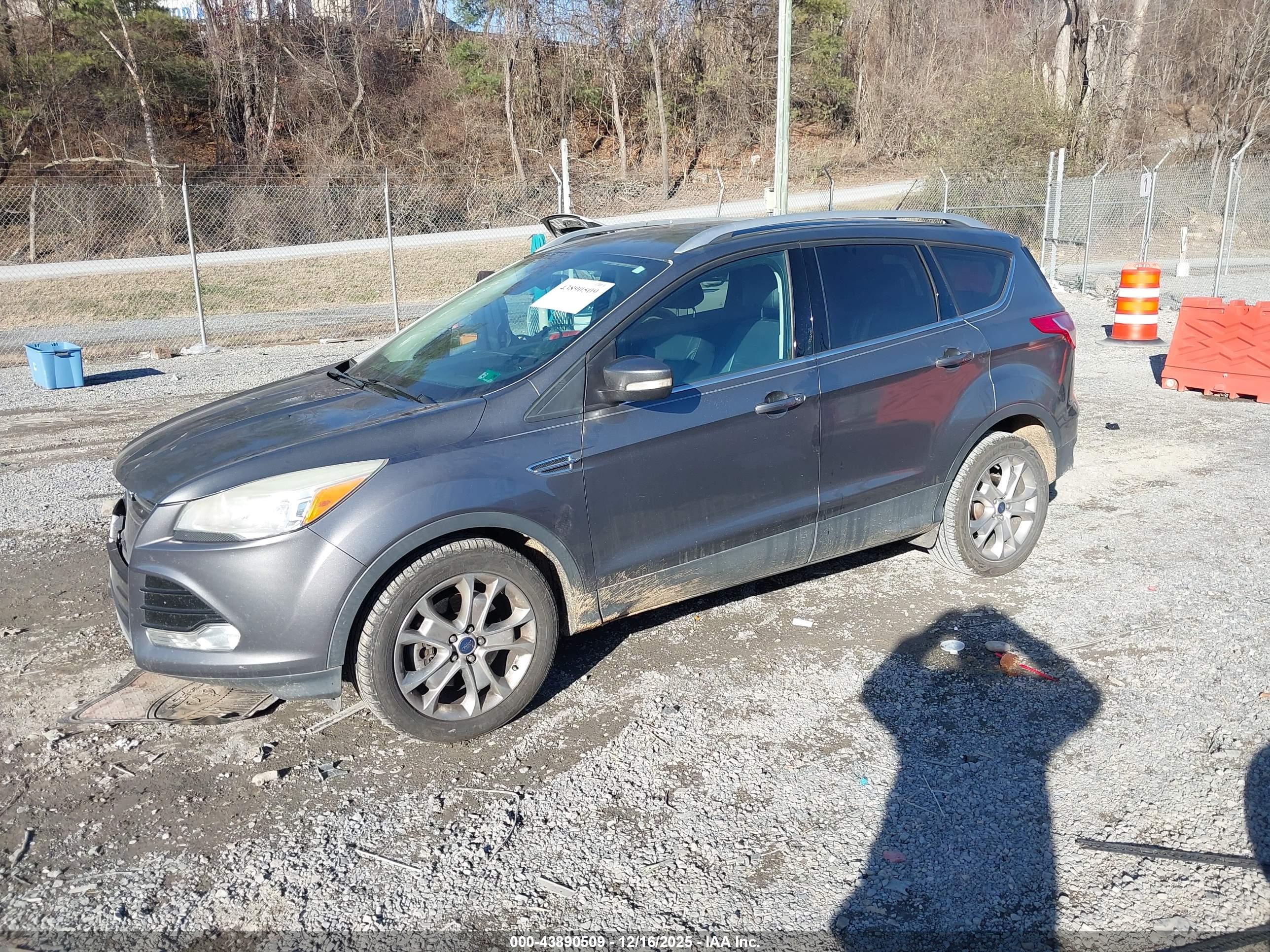 FORD ESCAPE image 2