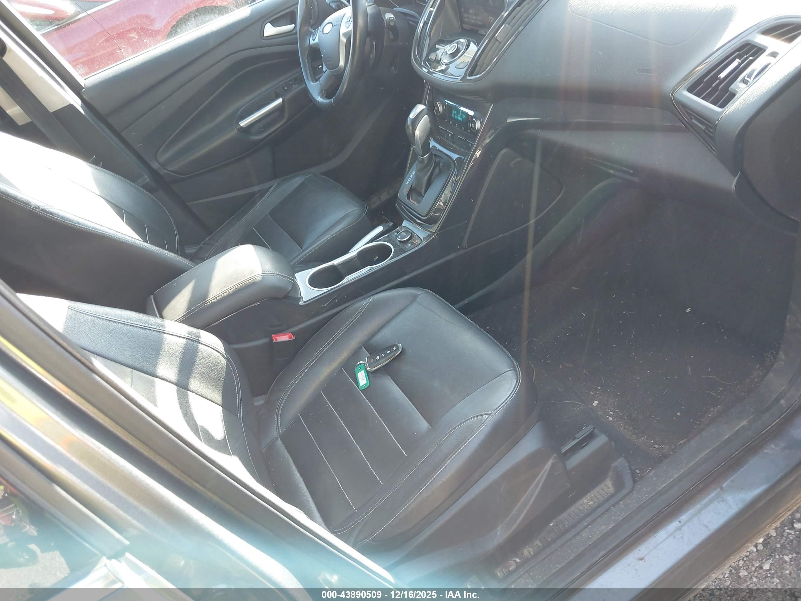 FORD ESCAPE image 5