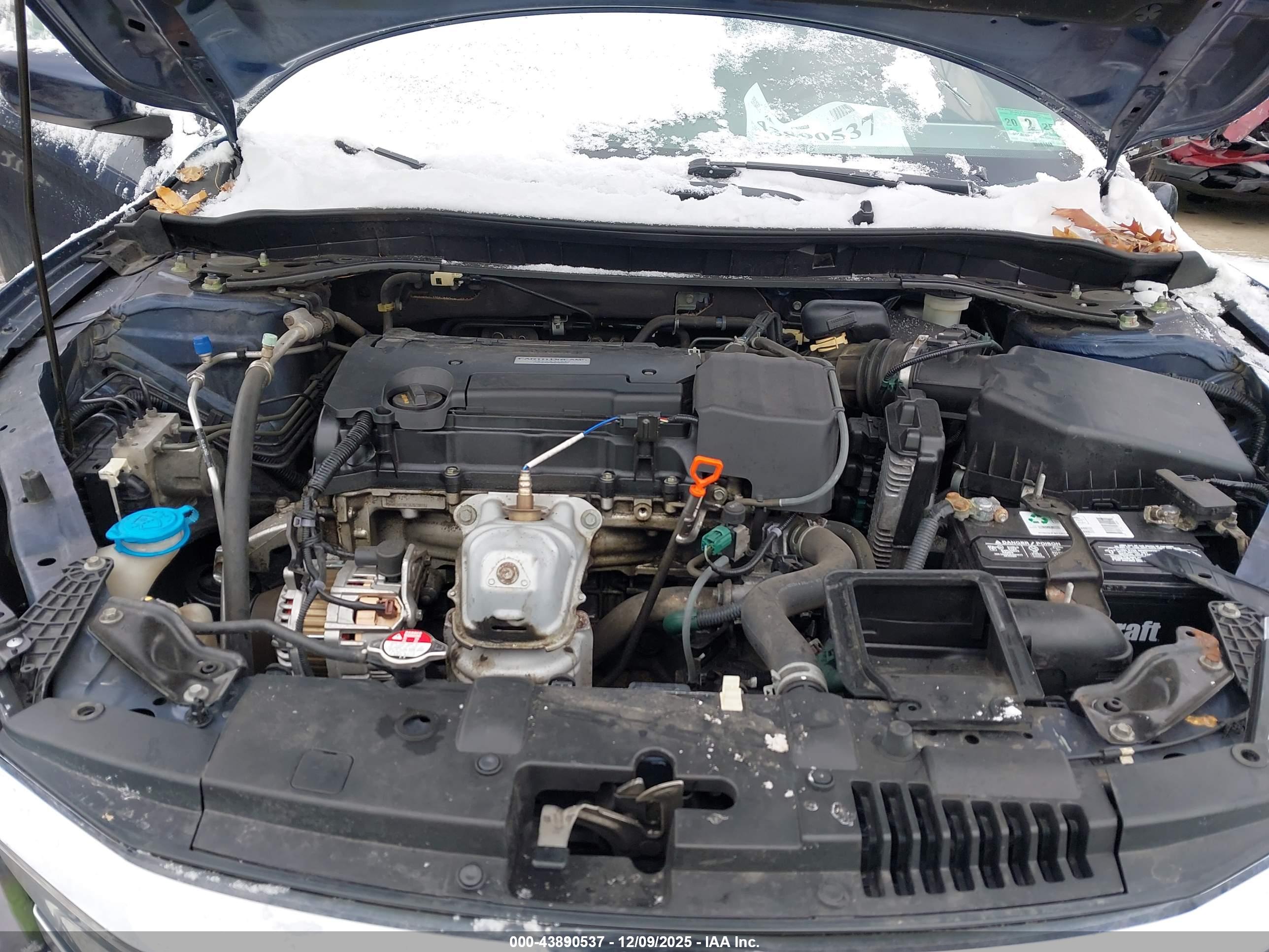 HONDA ACCORD image 10