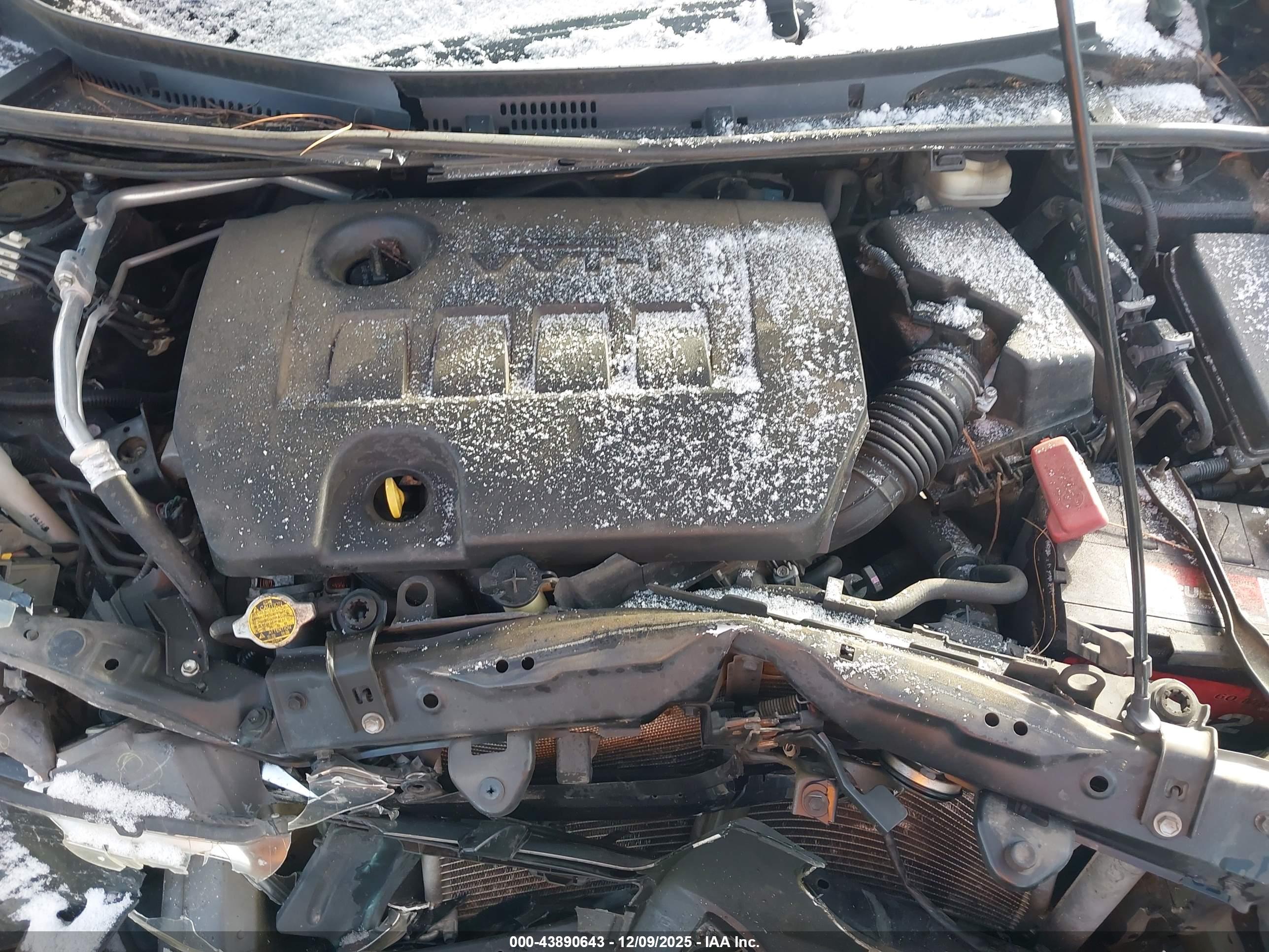 TOYOTA COROLLA image 10