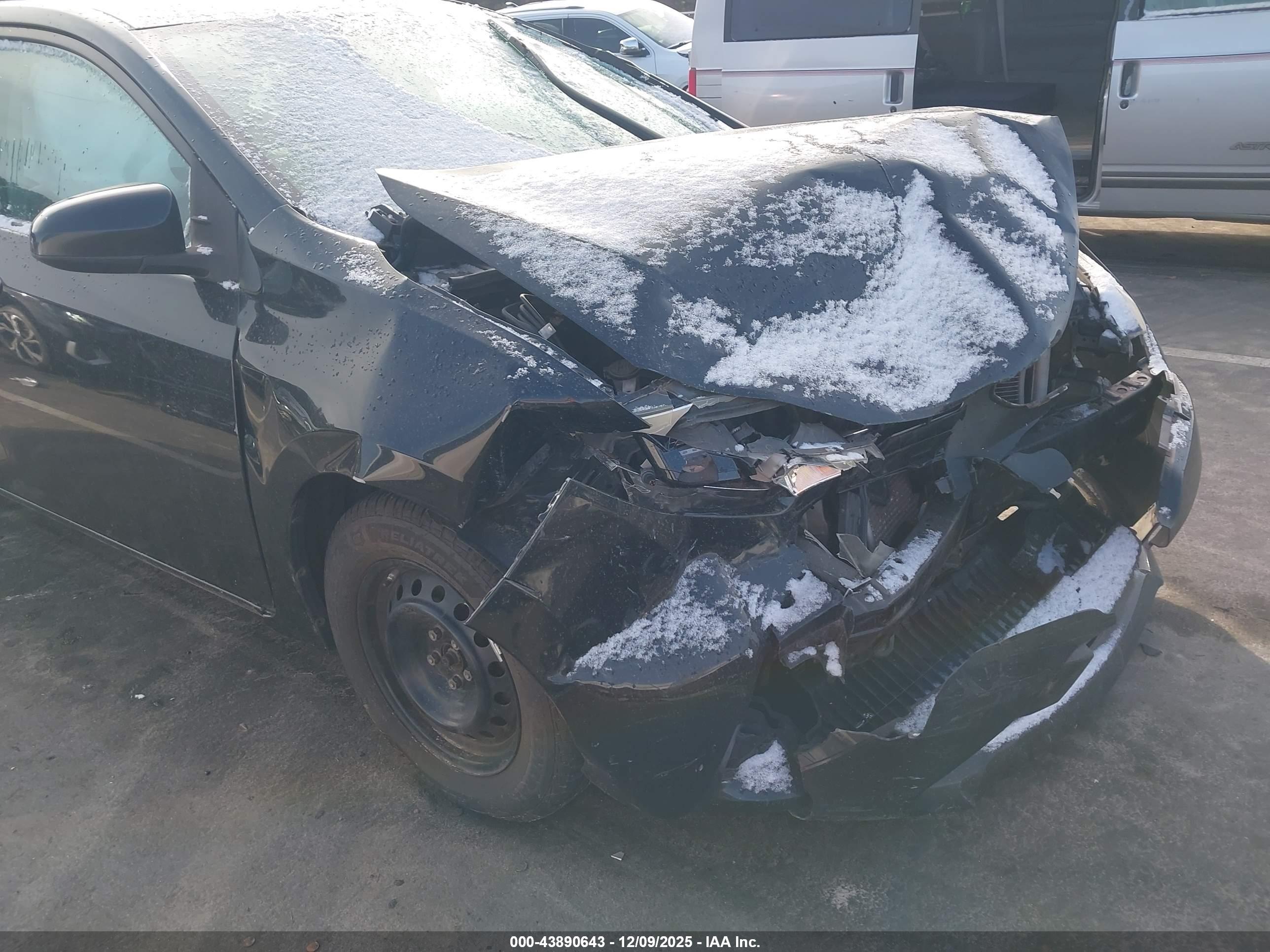 TOYOTA COROLLA image 6