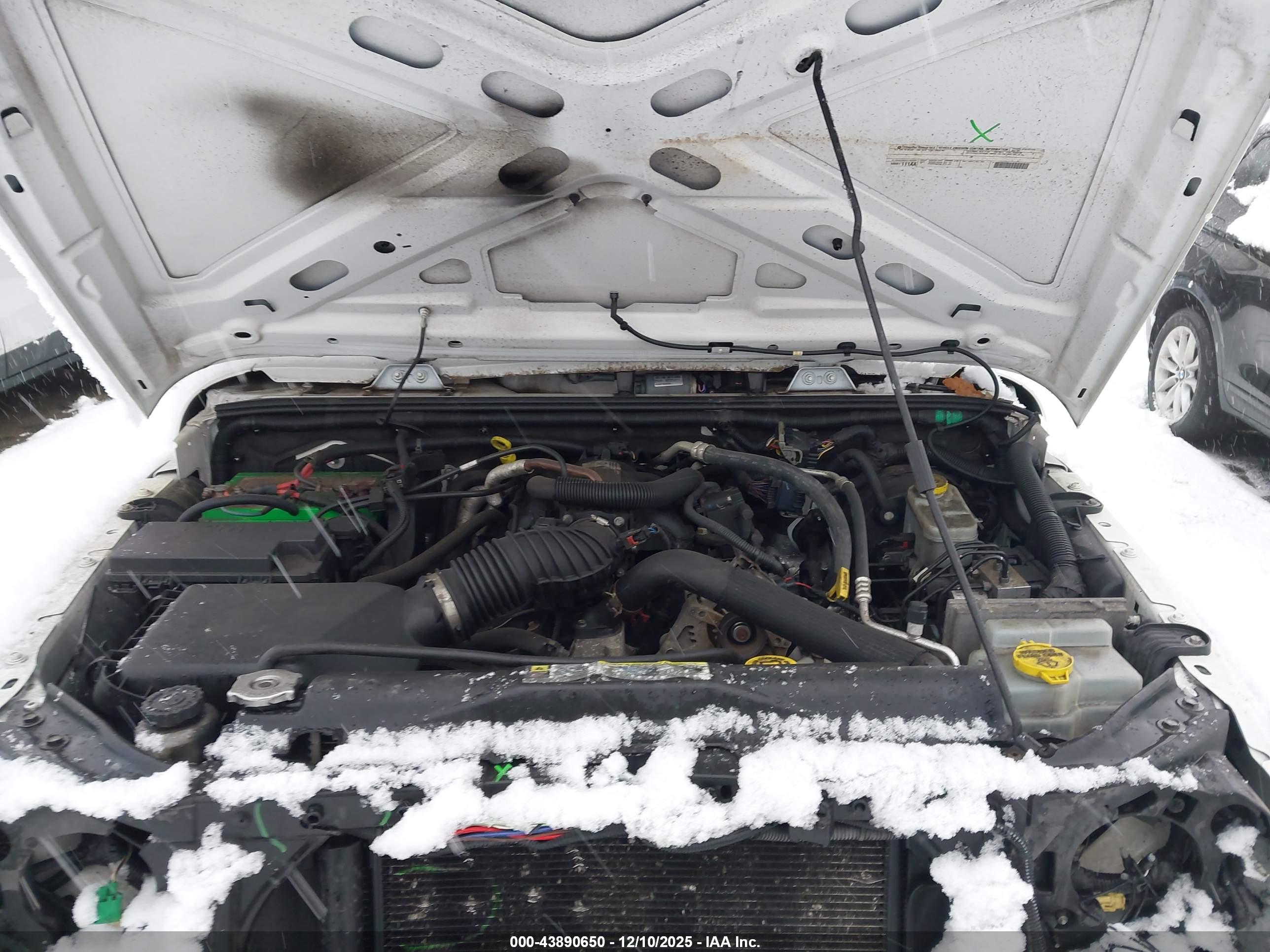 JEEP WRANGLER image 10