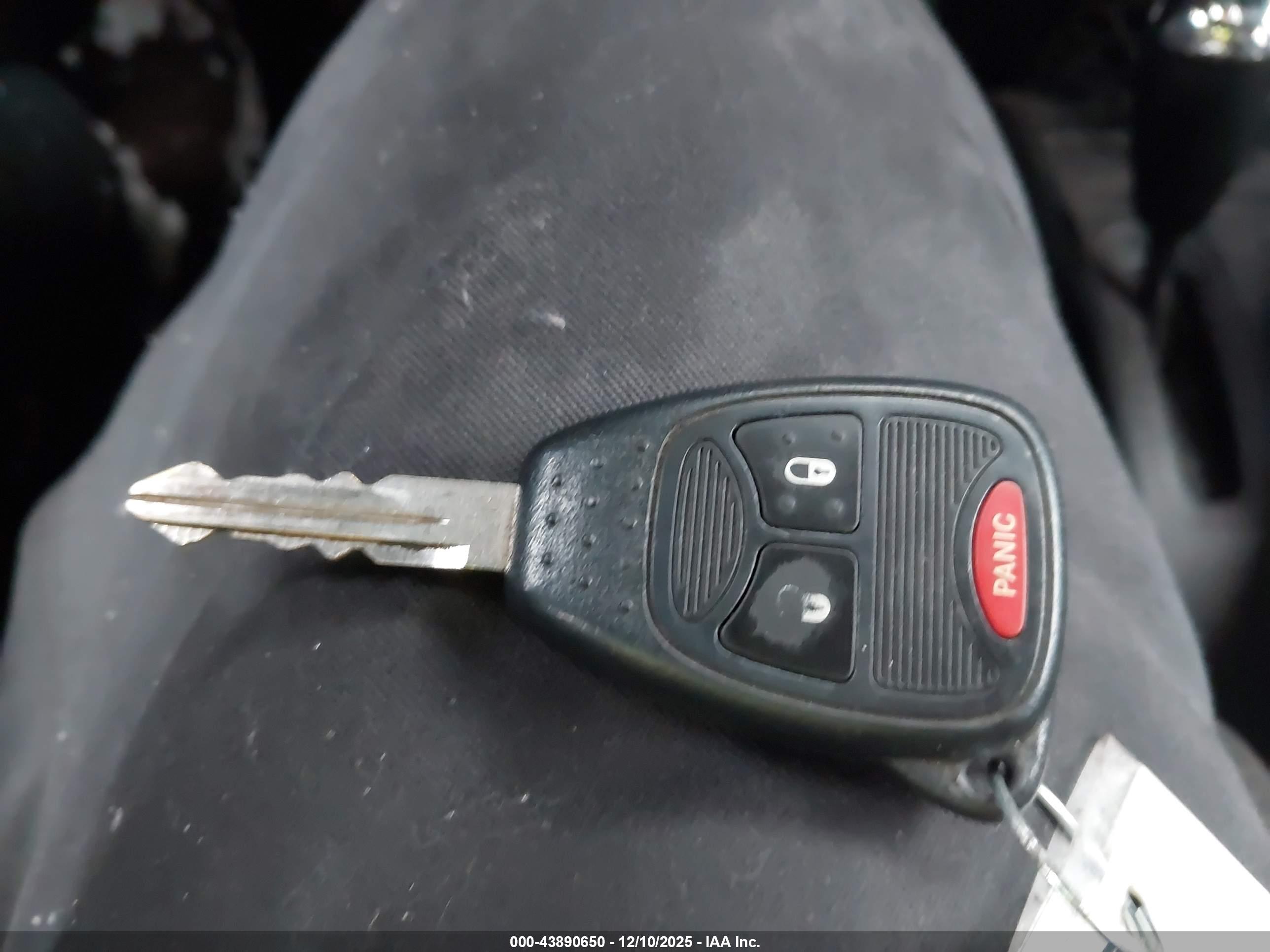 JEEP WRANGLER image 11
