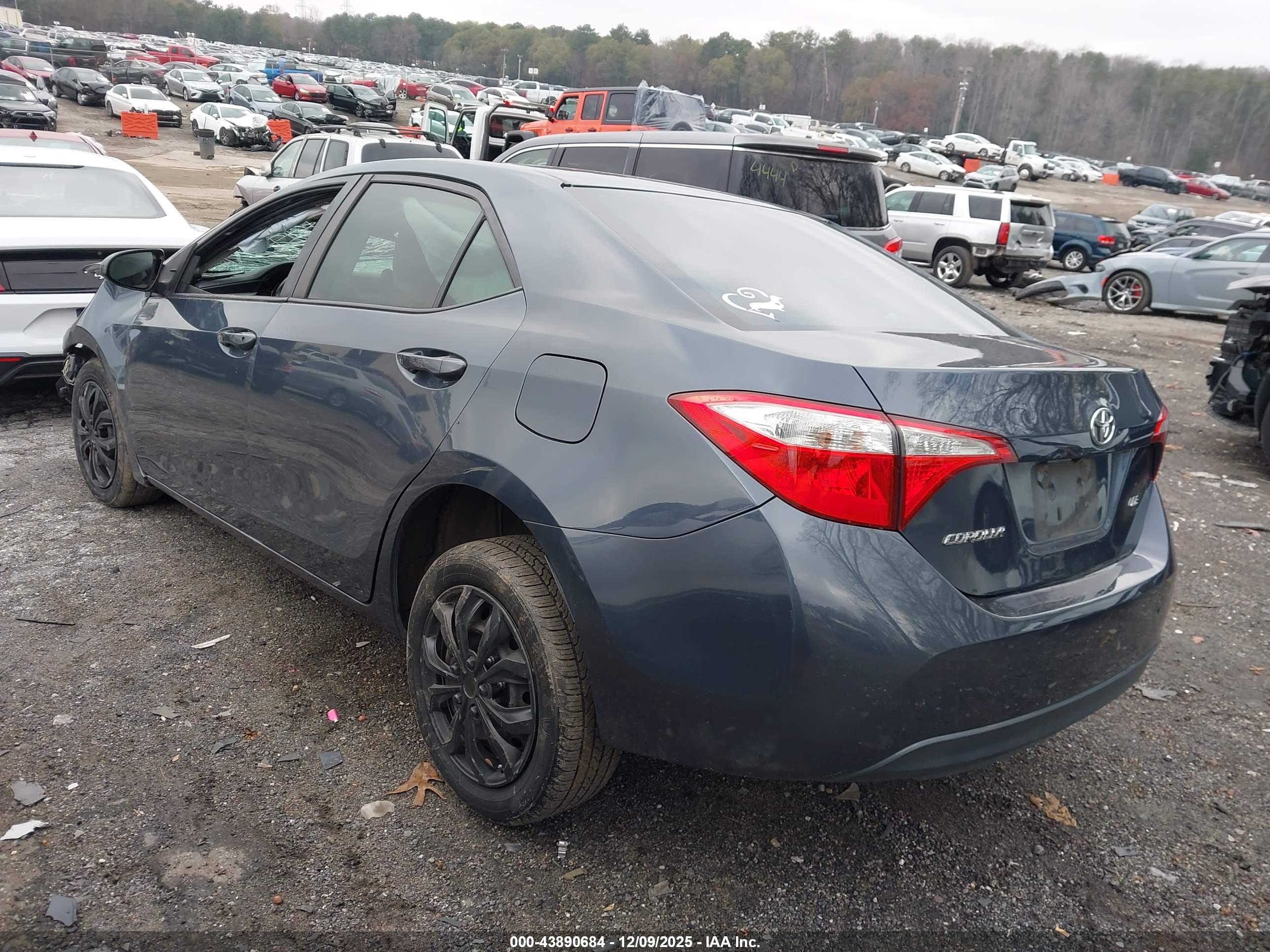 TOYOTA COROLLA image 3