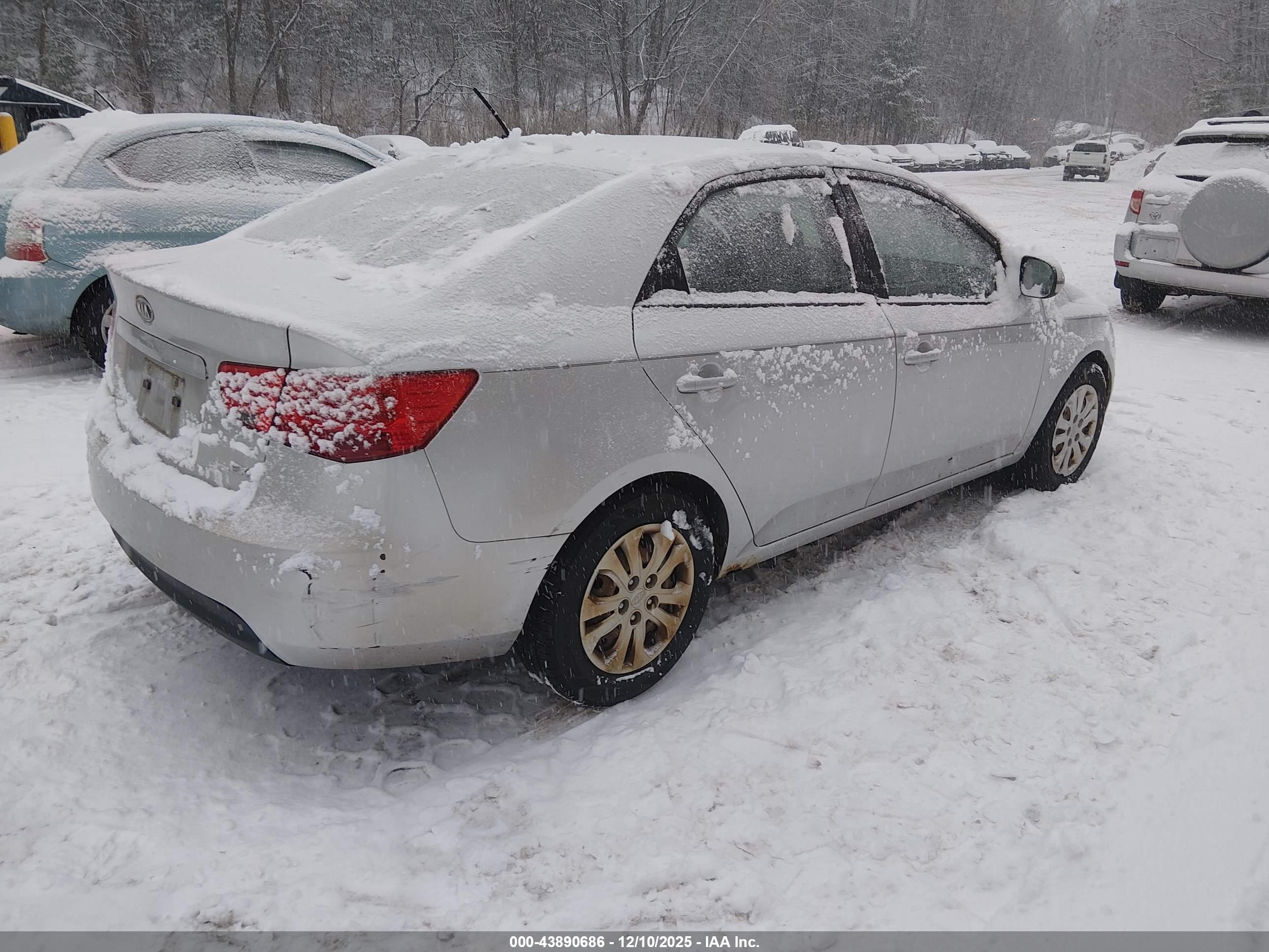 KIA FORTE image 4