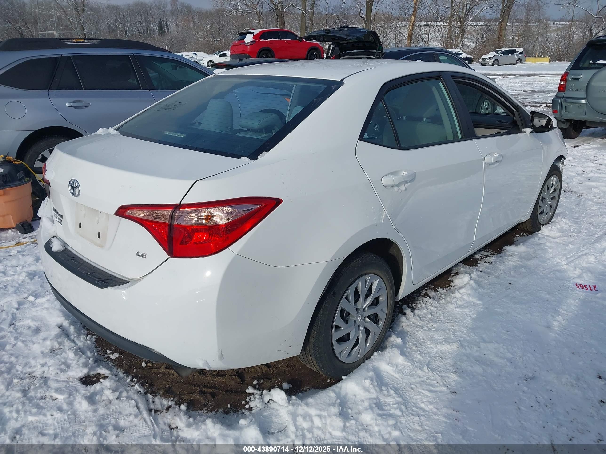 TOYOTA COROLLA image 4