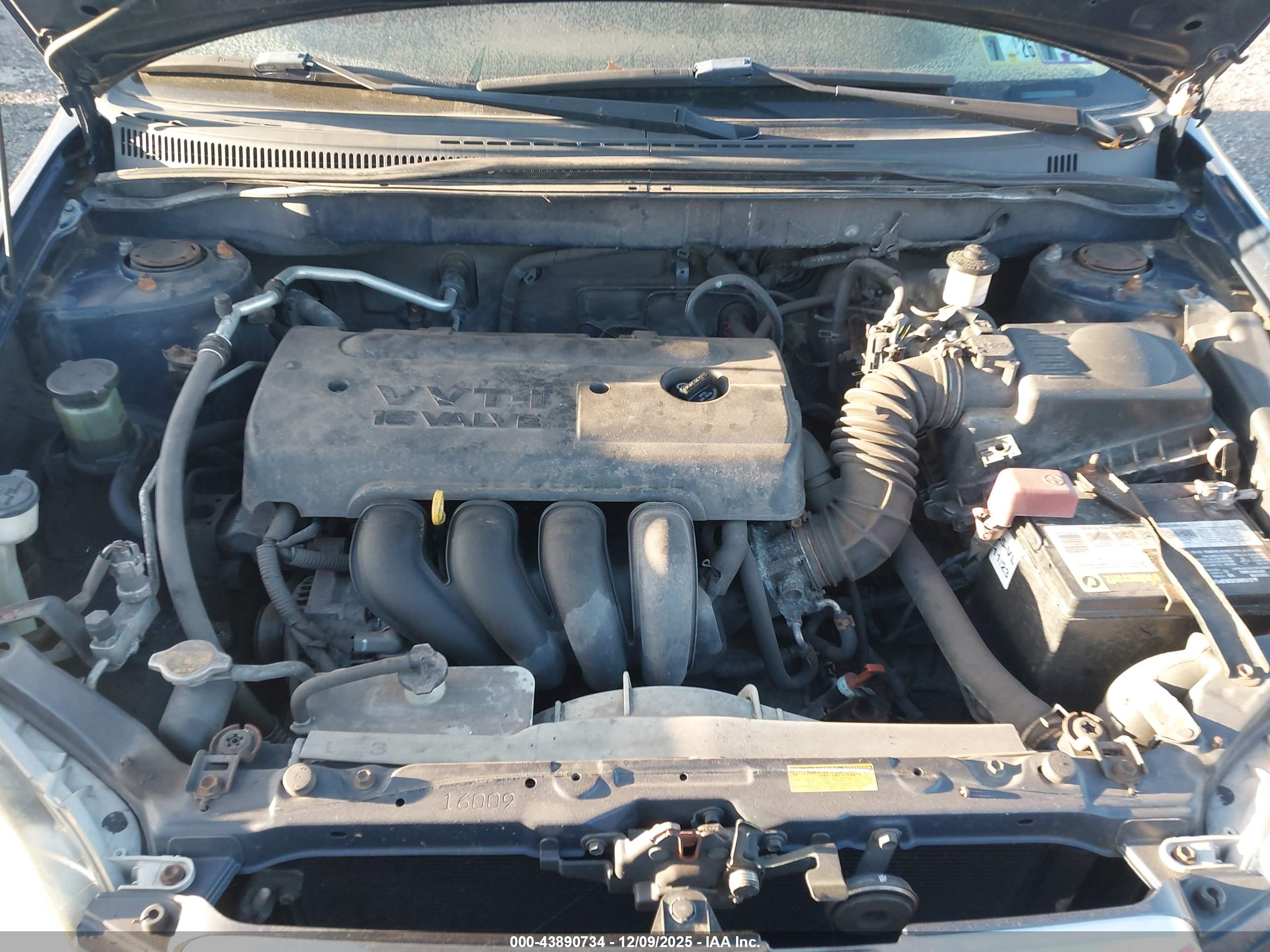 TOYOTA COROLLA image 10
