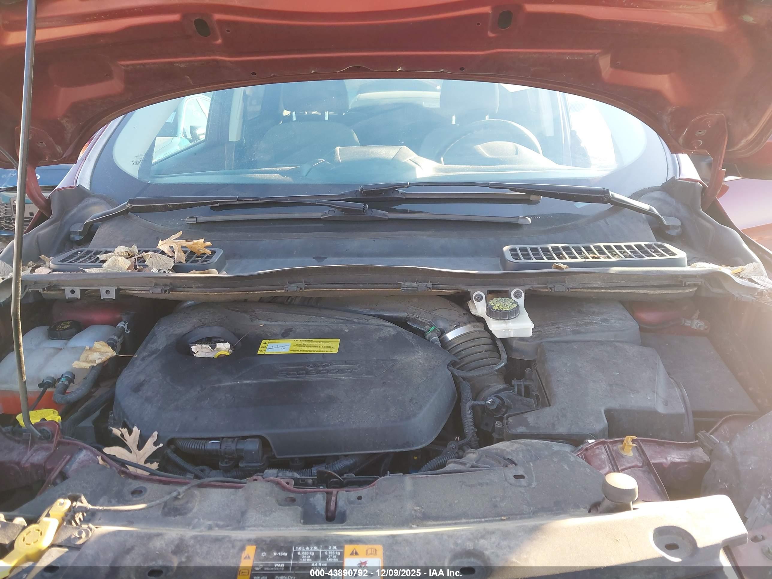 FORD ESCAPE image 10