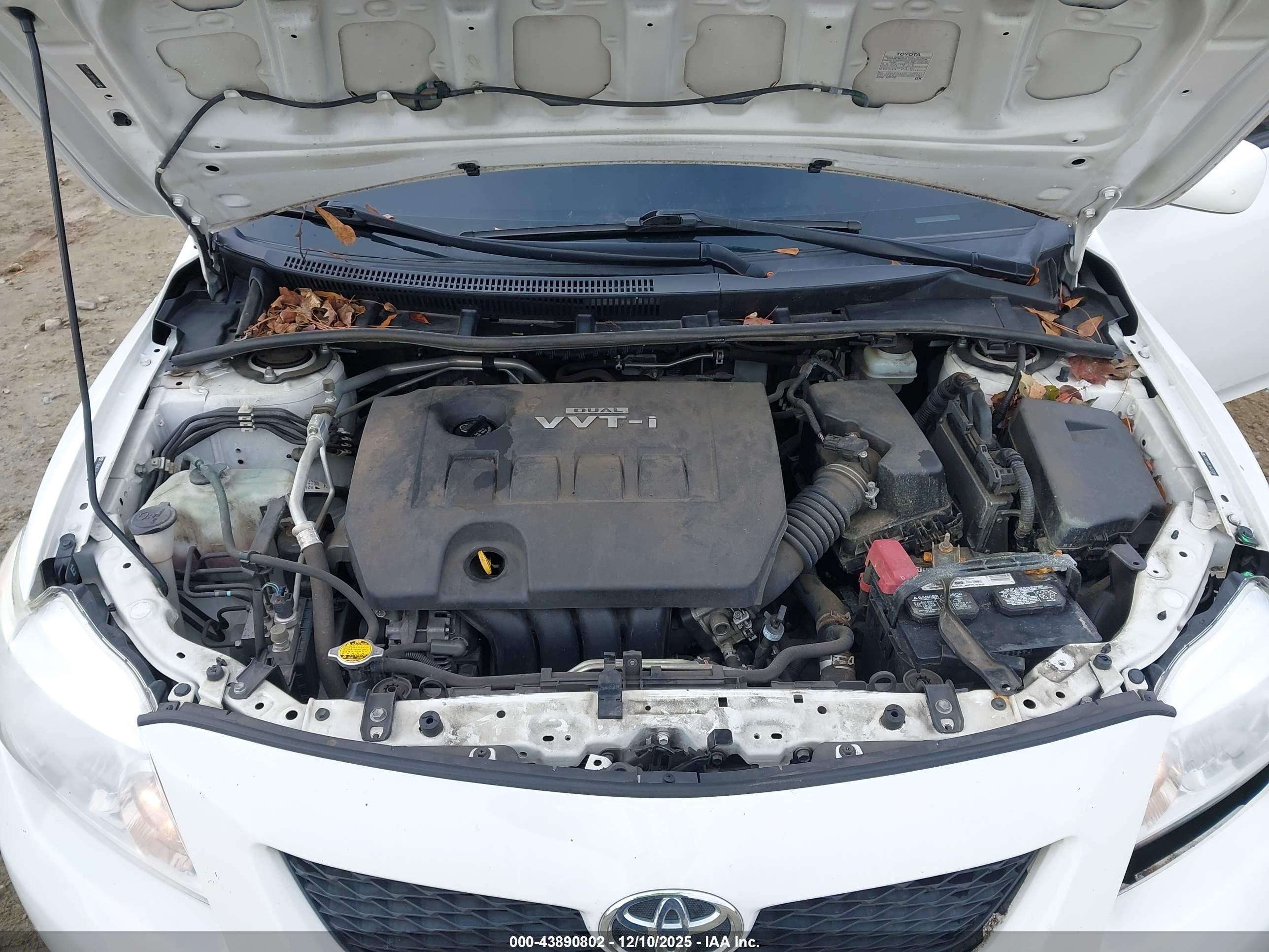 TOYOTA COROLLA image 10