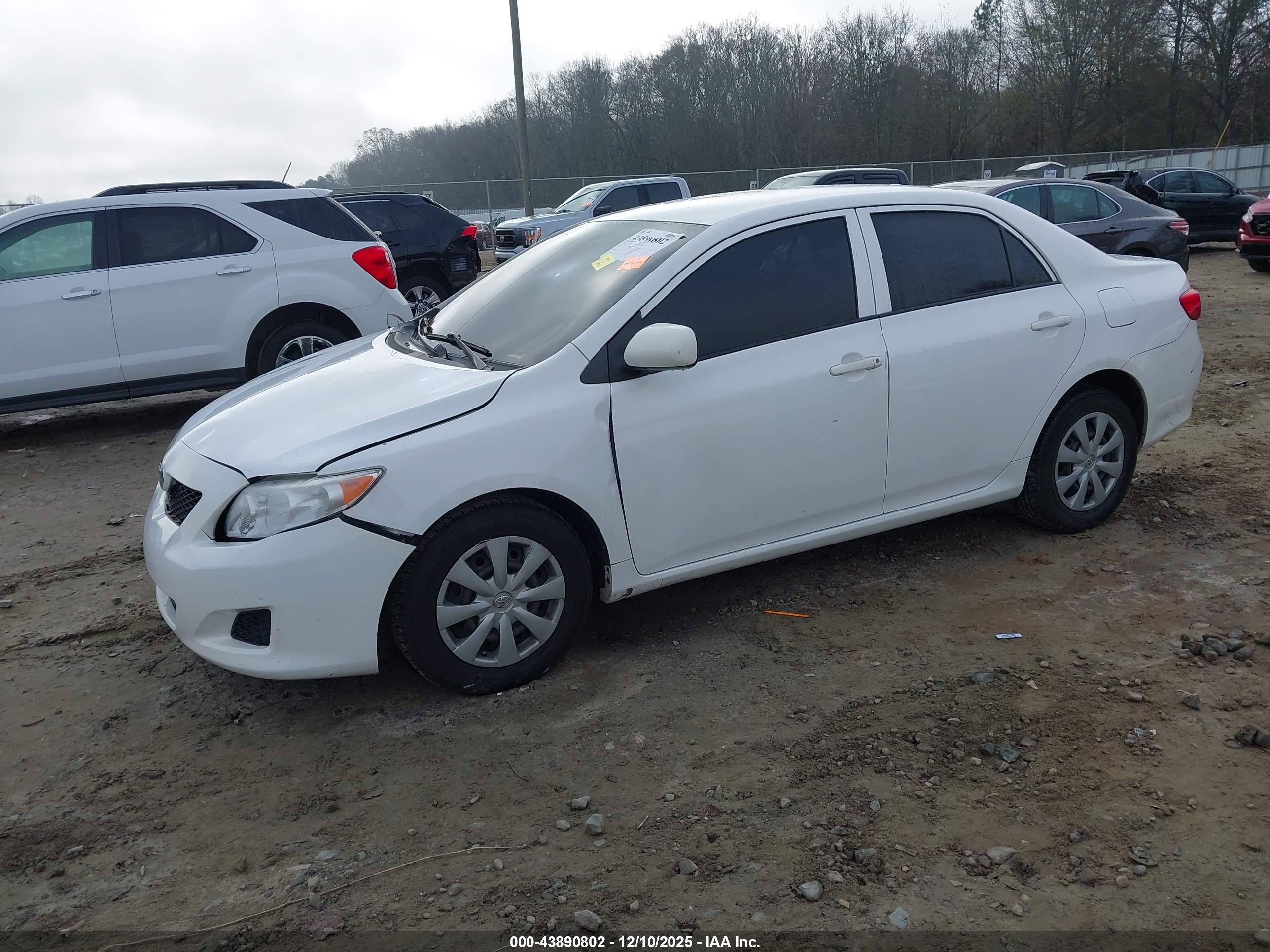 TOYOTA COROLLA image 2