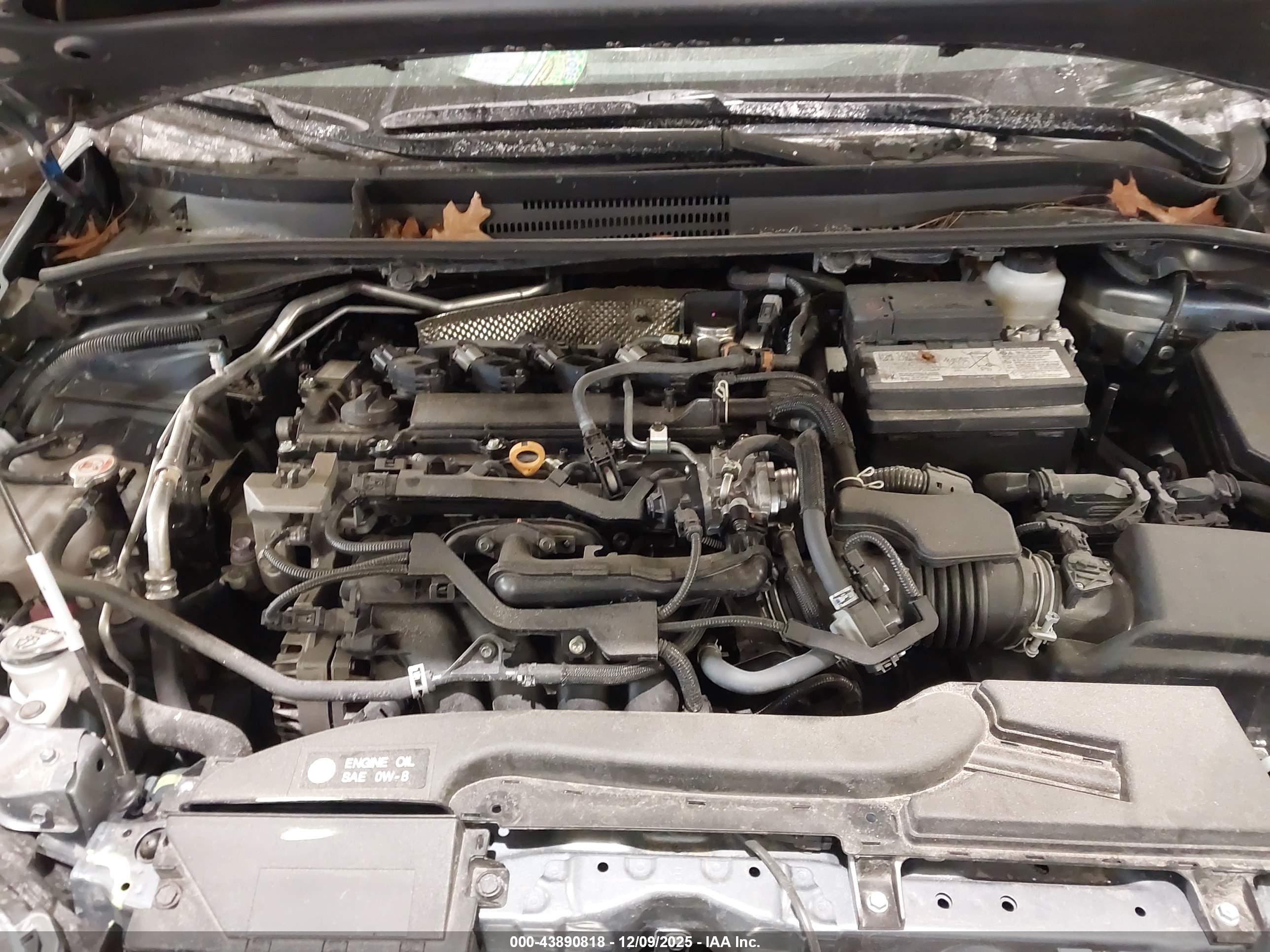 TOYOTA COROLLA image 10