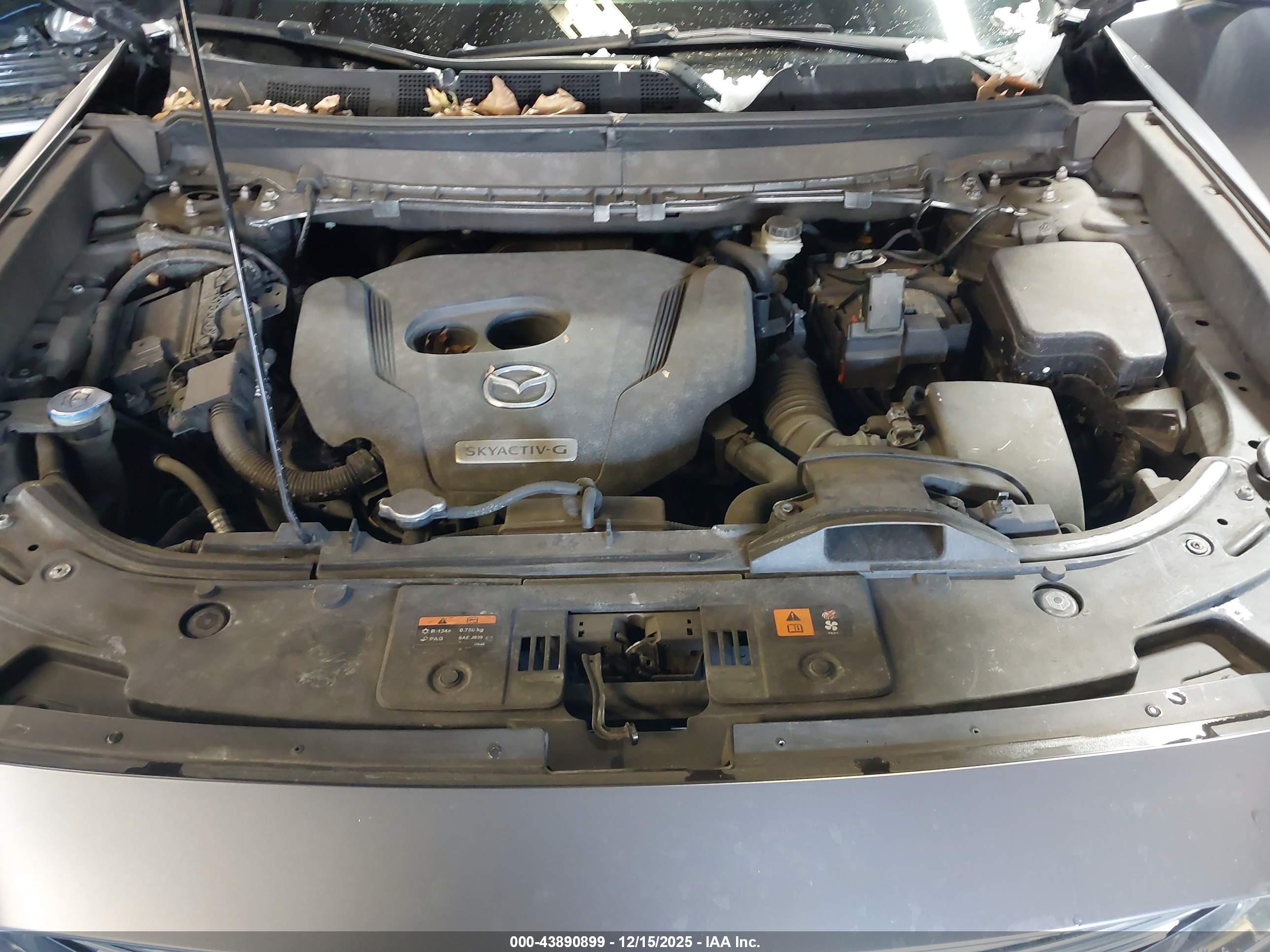 MAZDA CX-9 image 10
