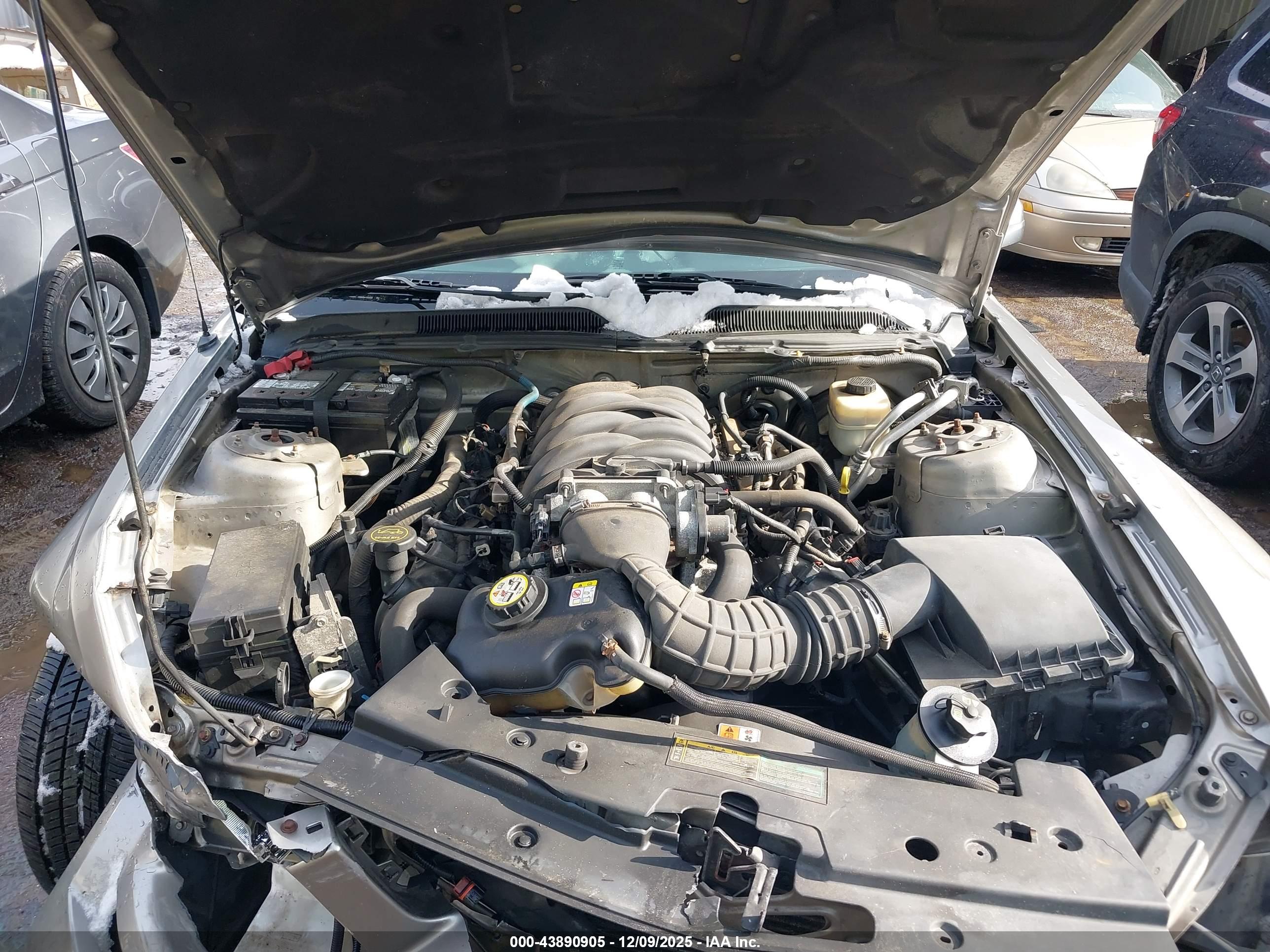 FORD MUSTANG image 10