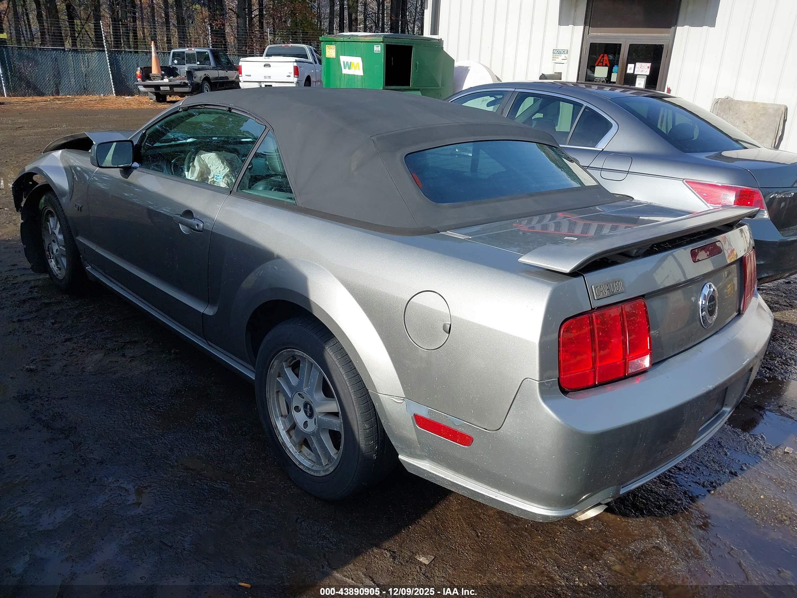 FORD MUSTANG image 3