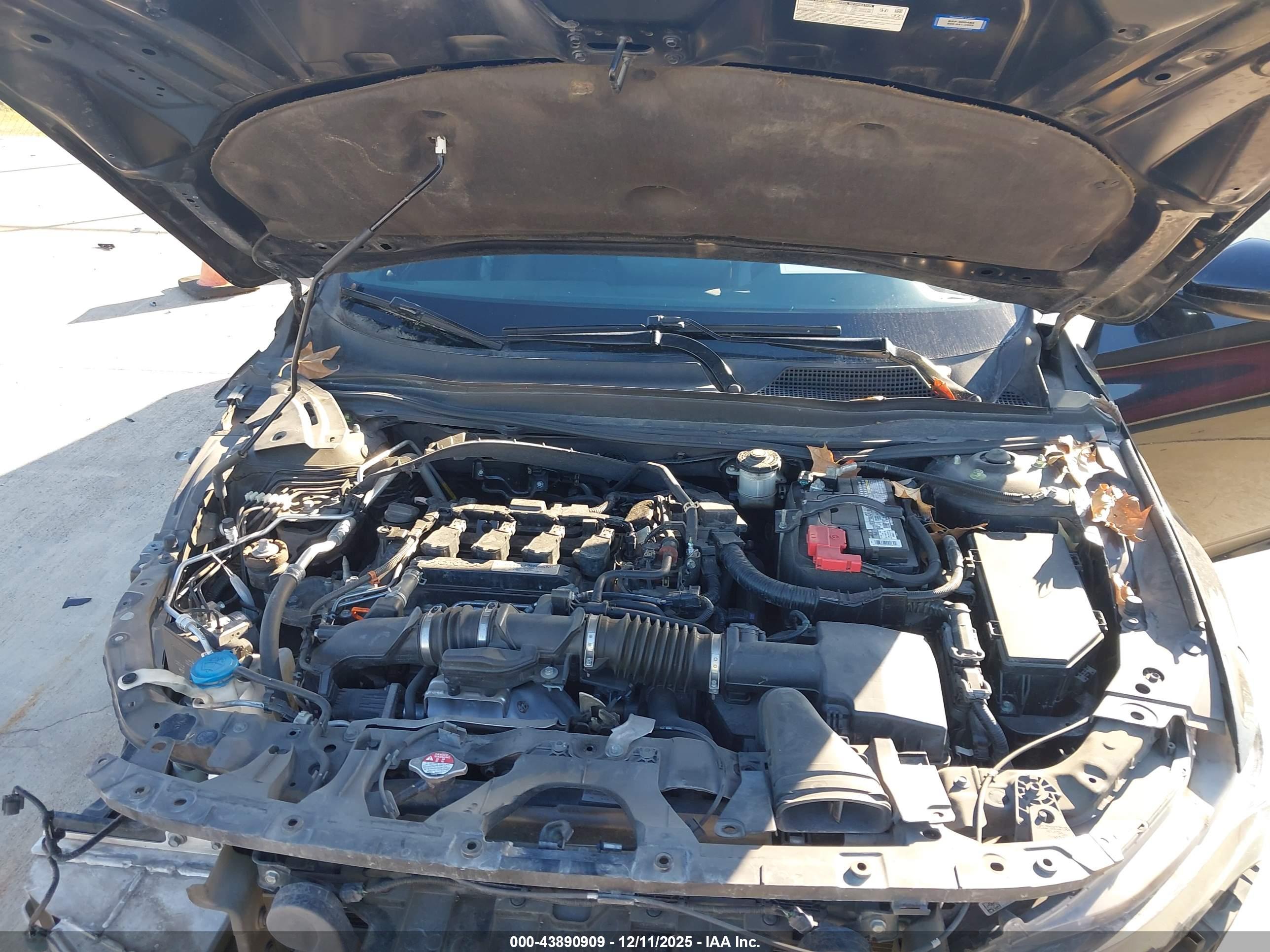 HONDA ACCORD image 10