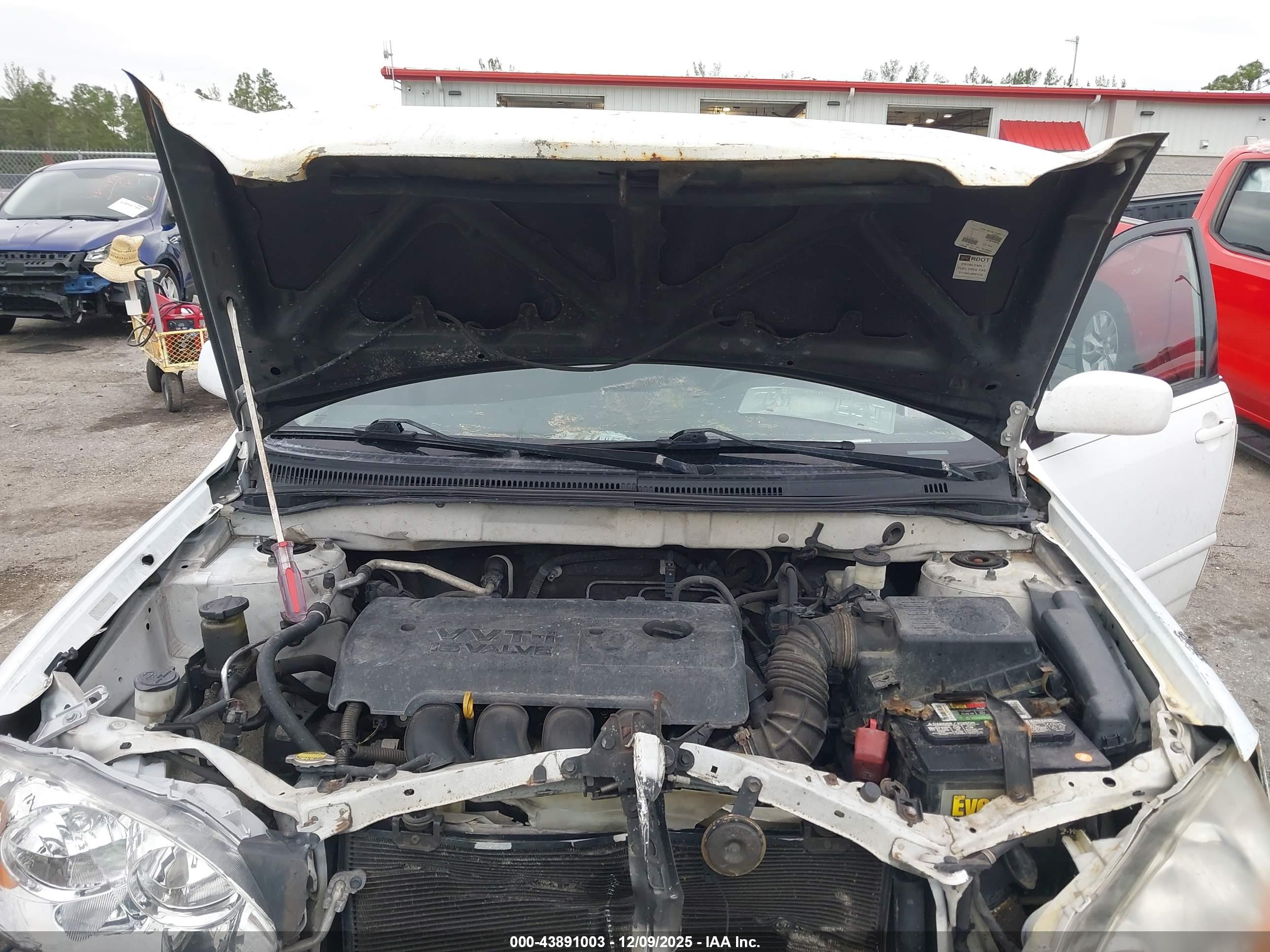 TOYOTA COROLLA image 10