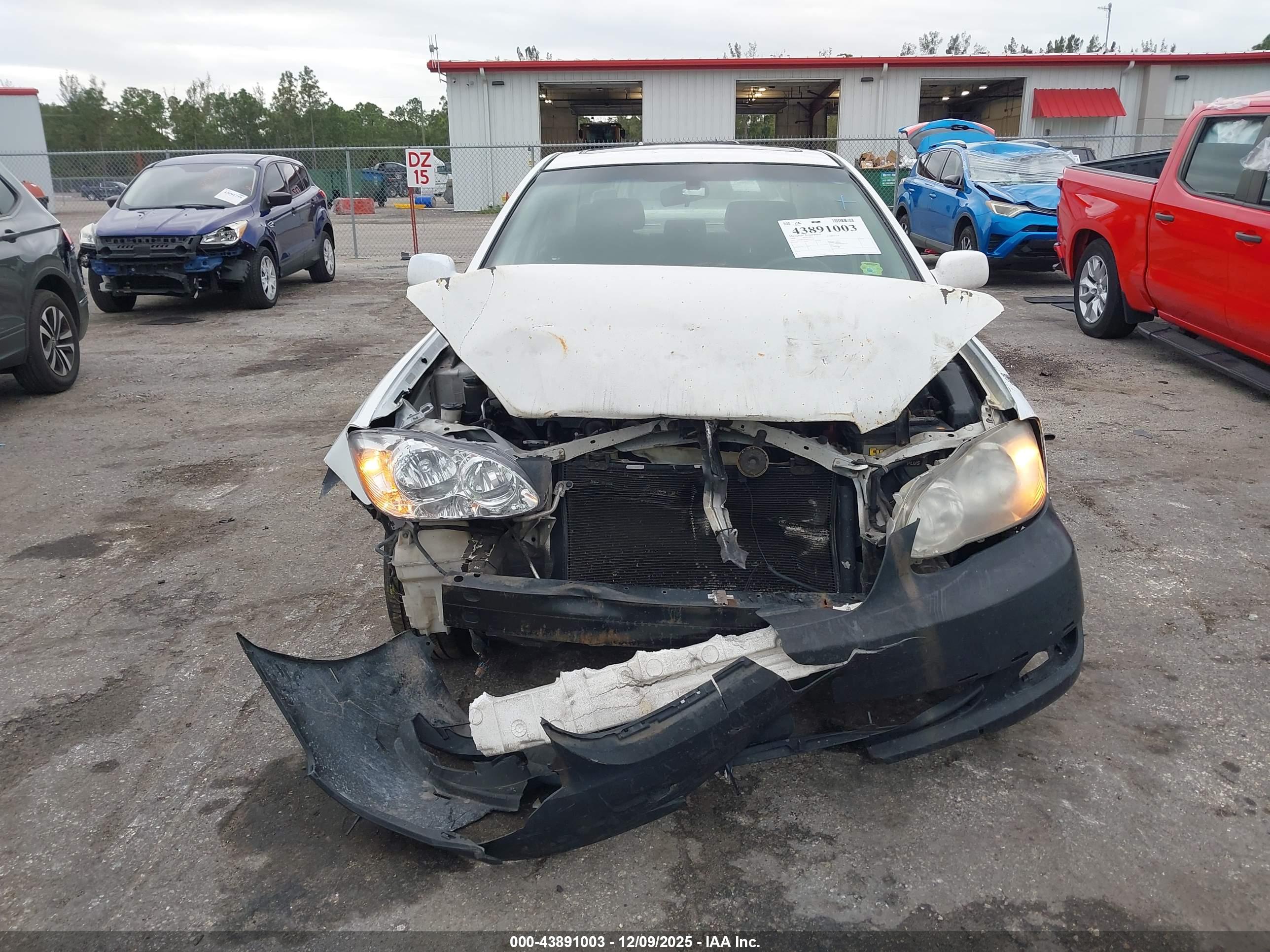 TOYOTA COROLLA image 6