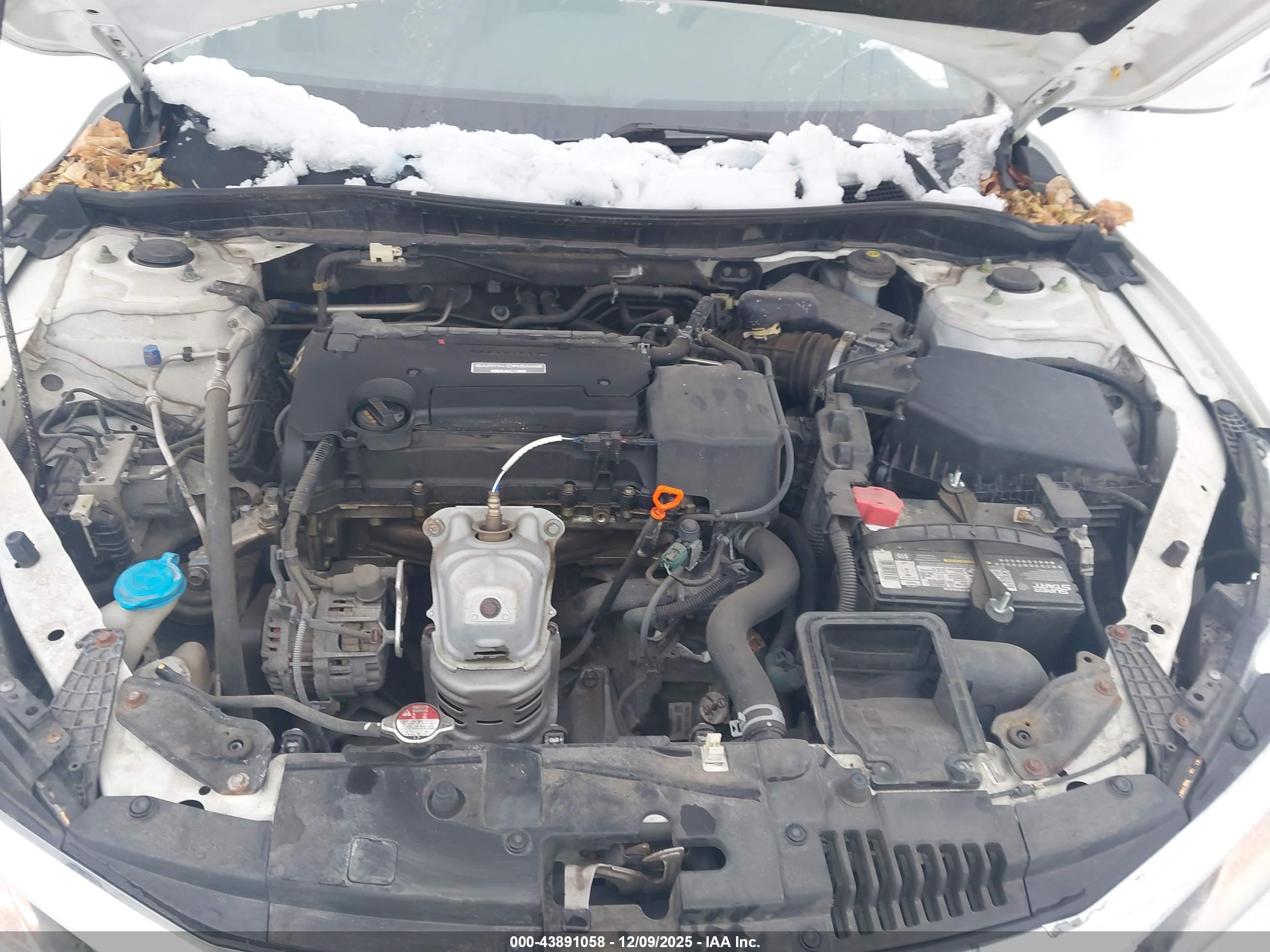 HONDA ACCORD image 10