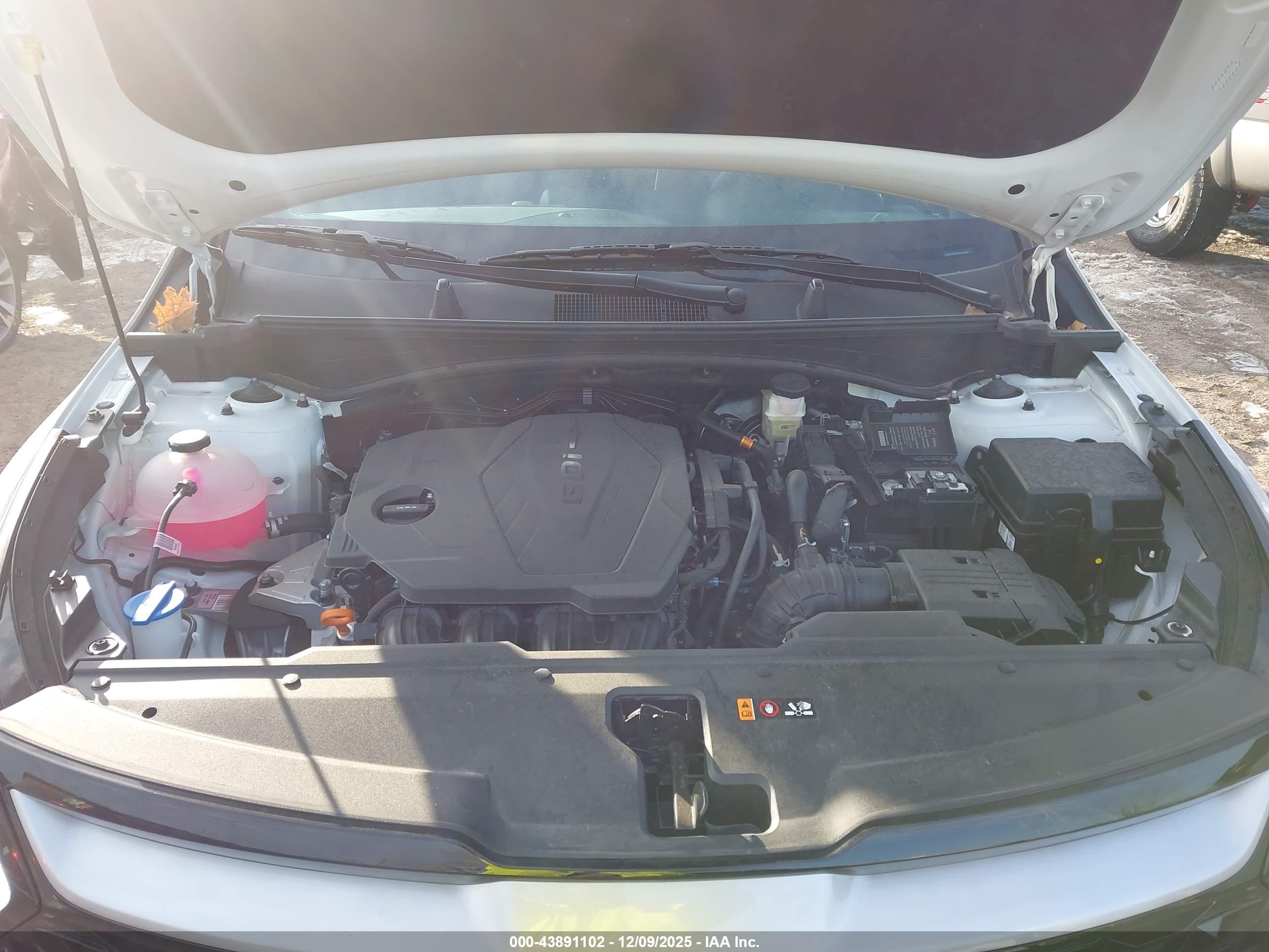 KIA SPORTAGE image 10