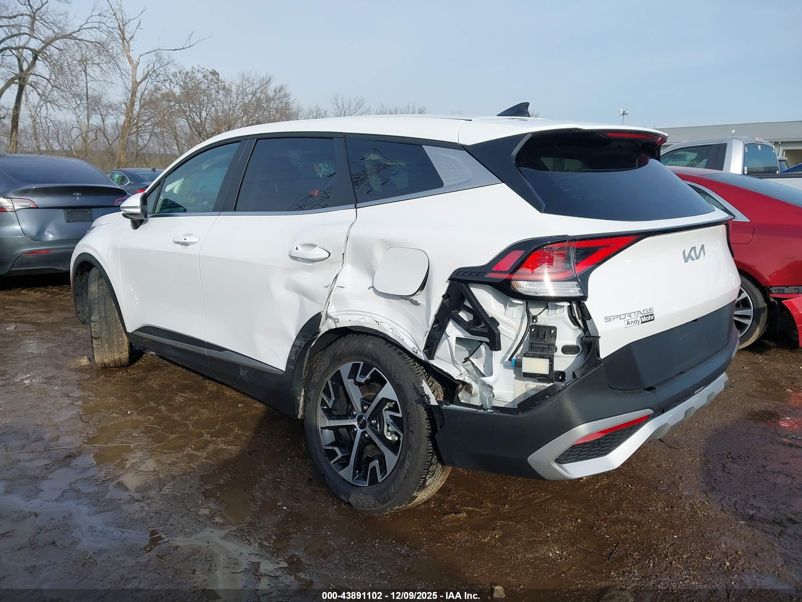 KIA SPORTAGE image 3