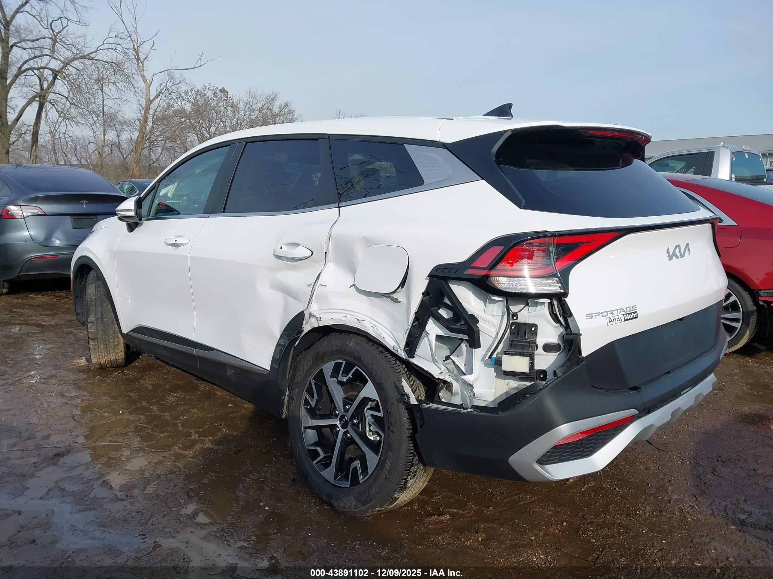 KIA SPORTAGE image 6