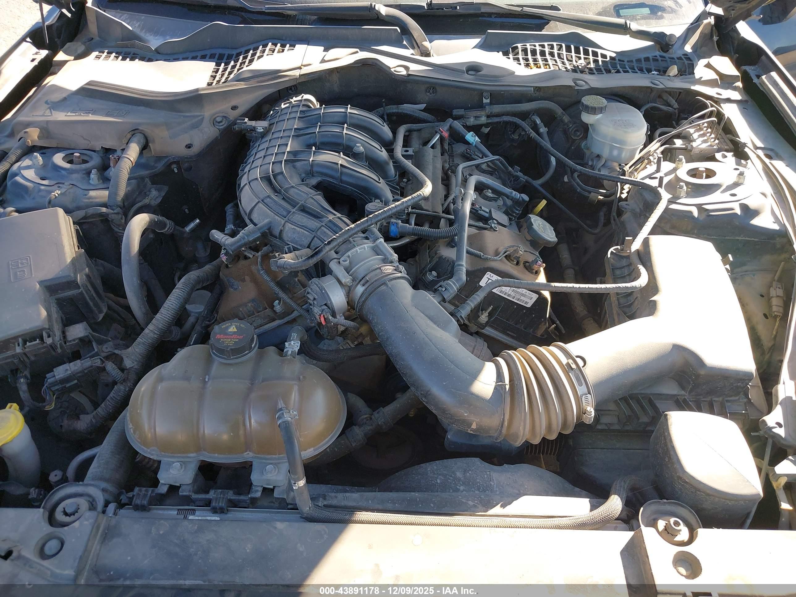 FORD MUSTANG image 10