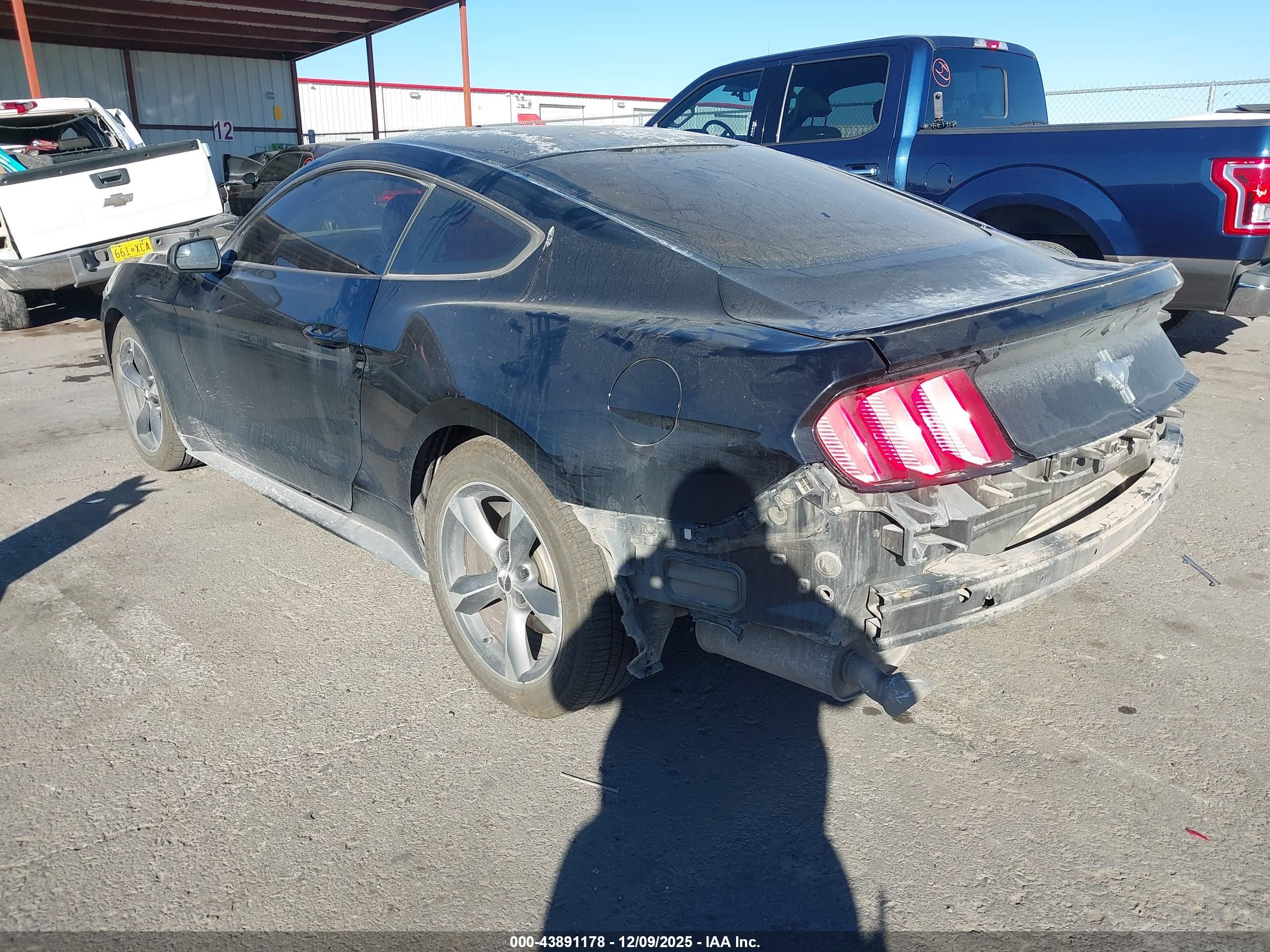 FORD MUSTANG image 3