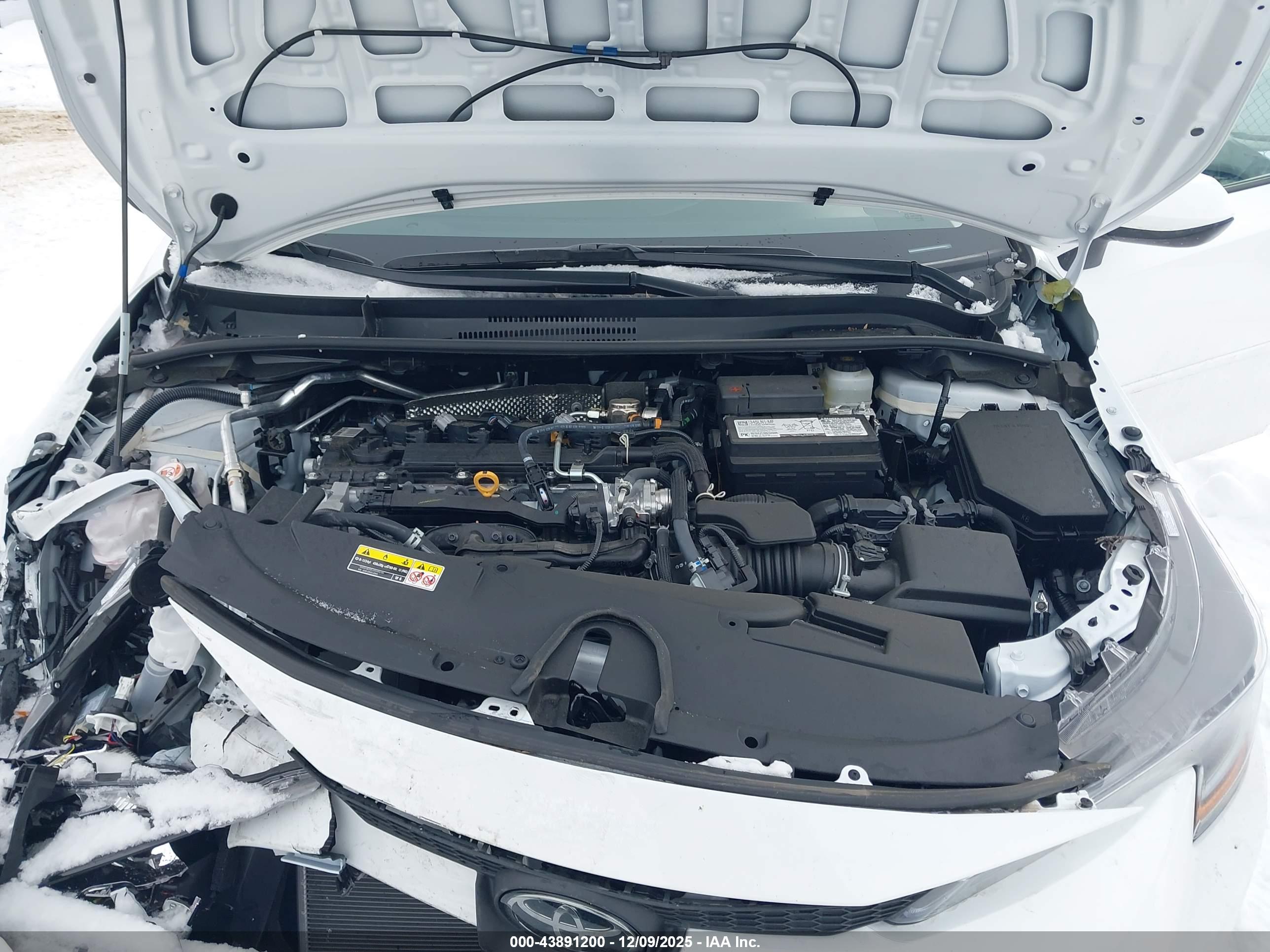 TOYOTA COROLLA image 10
