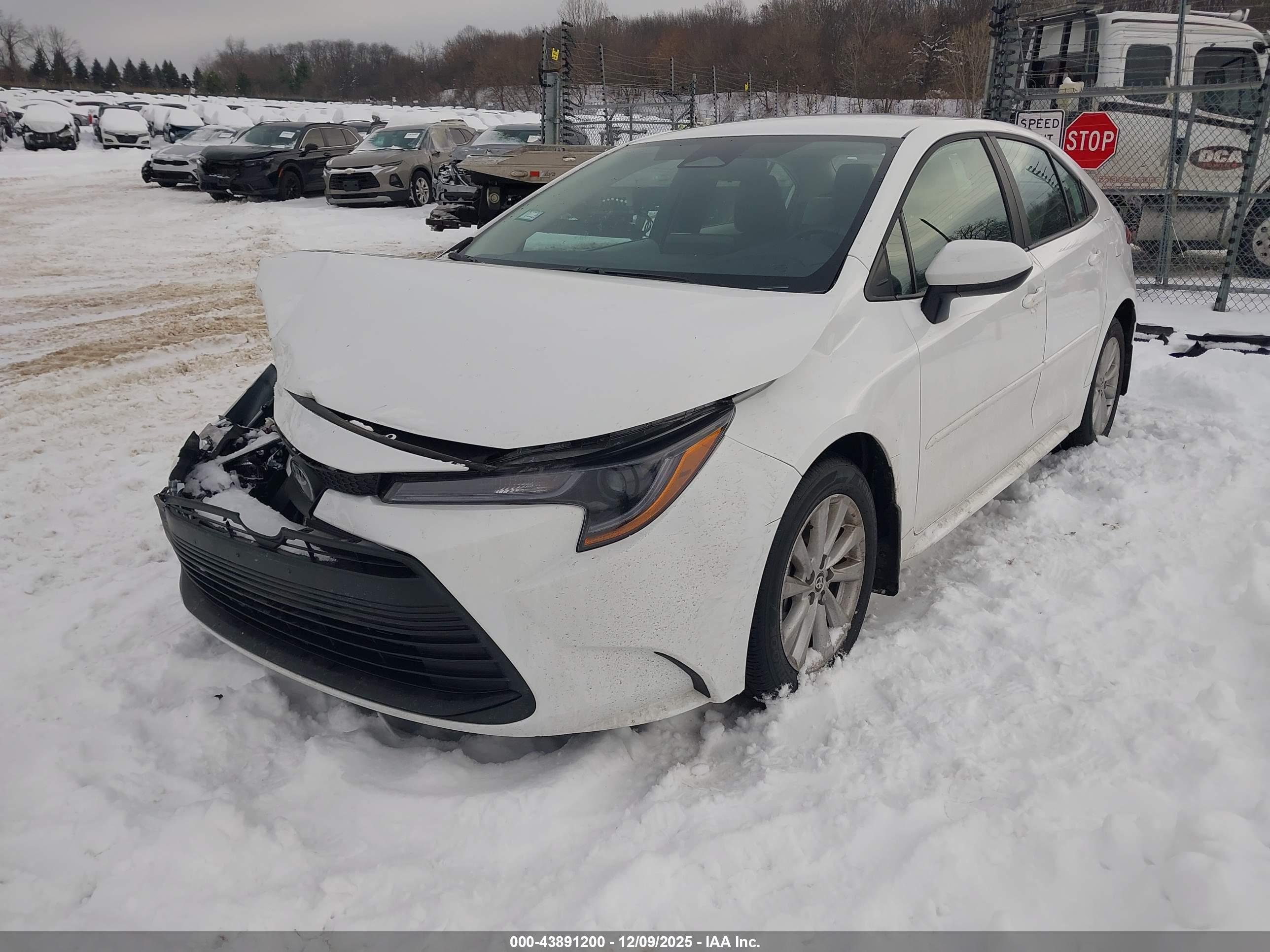 TOYOTA COROLLA image 2