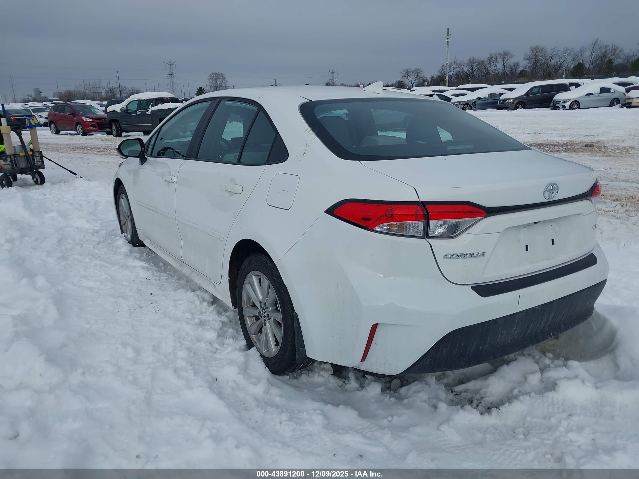 TOYOTA COROLLA image 3