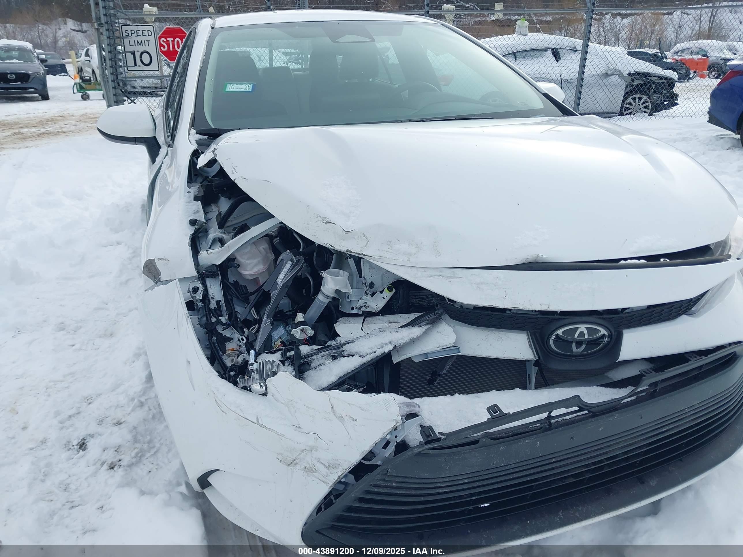 TOYOTA COROLLA image 6