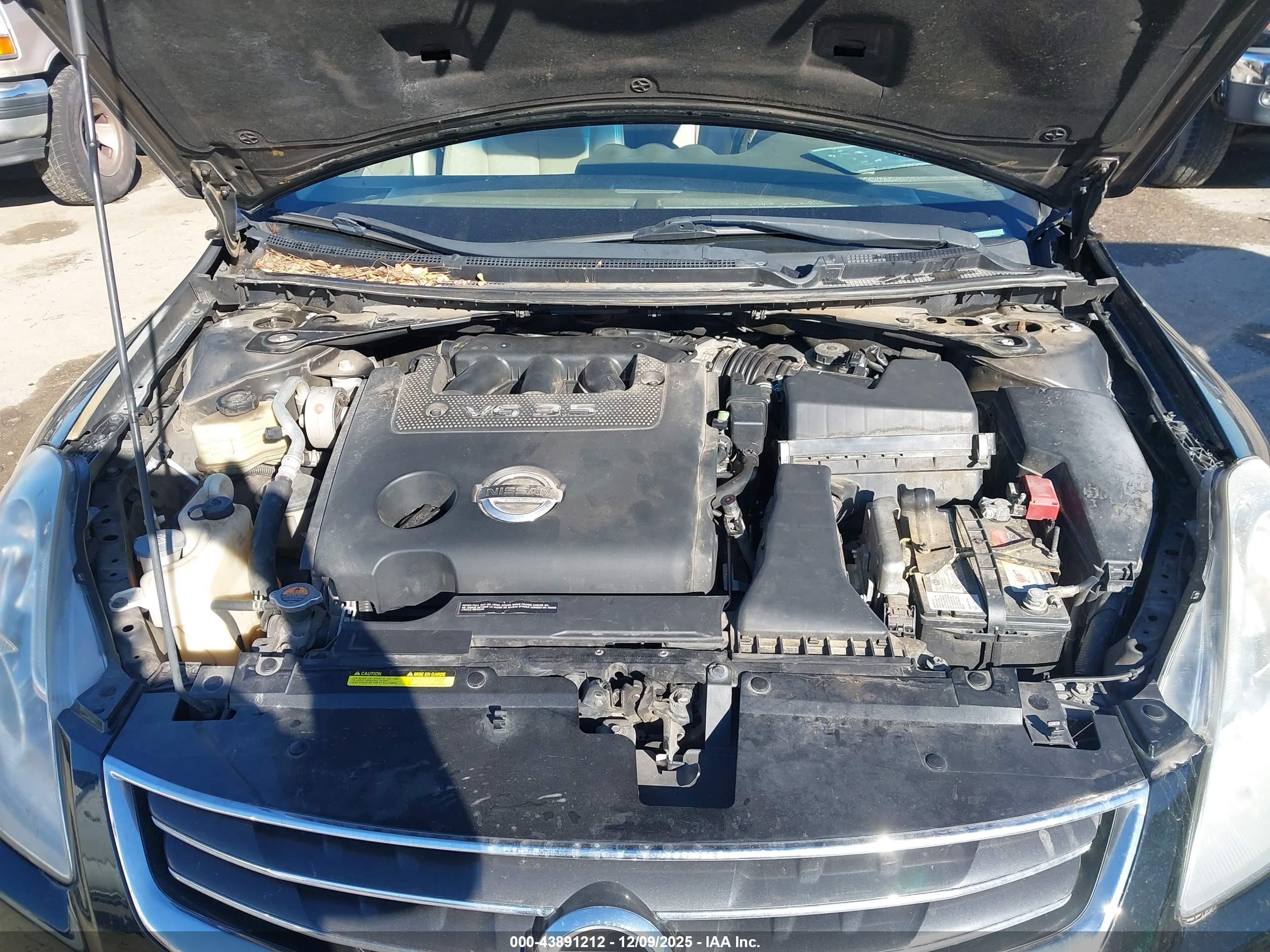 NISSAN ALTIMA image 10