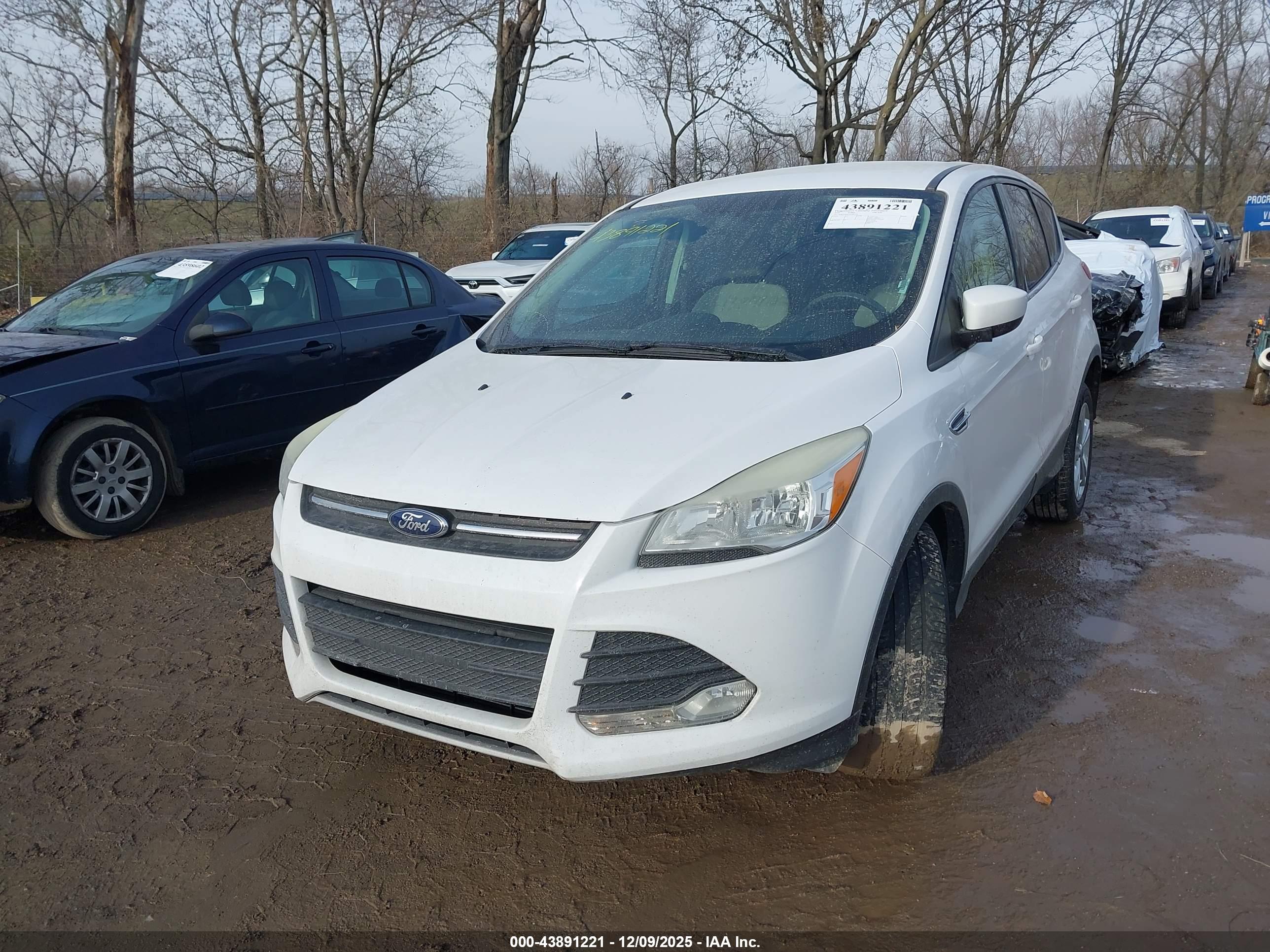 FORD ESCAPE image 2