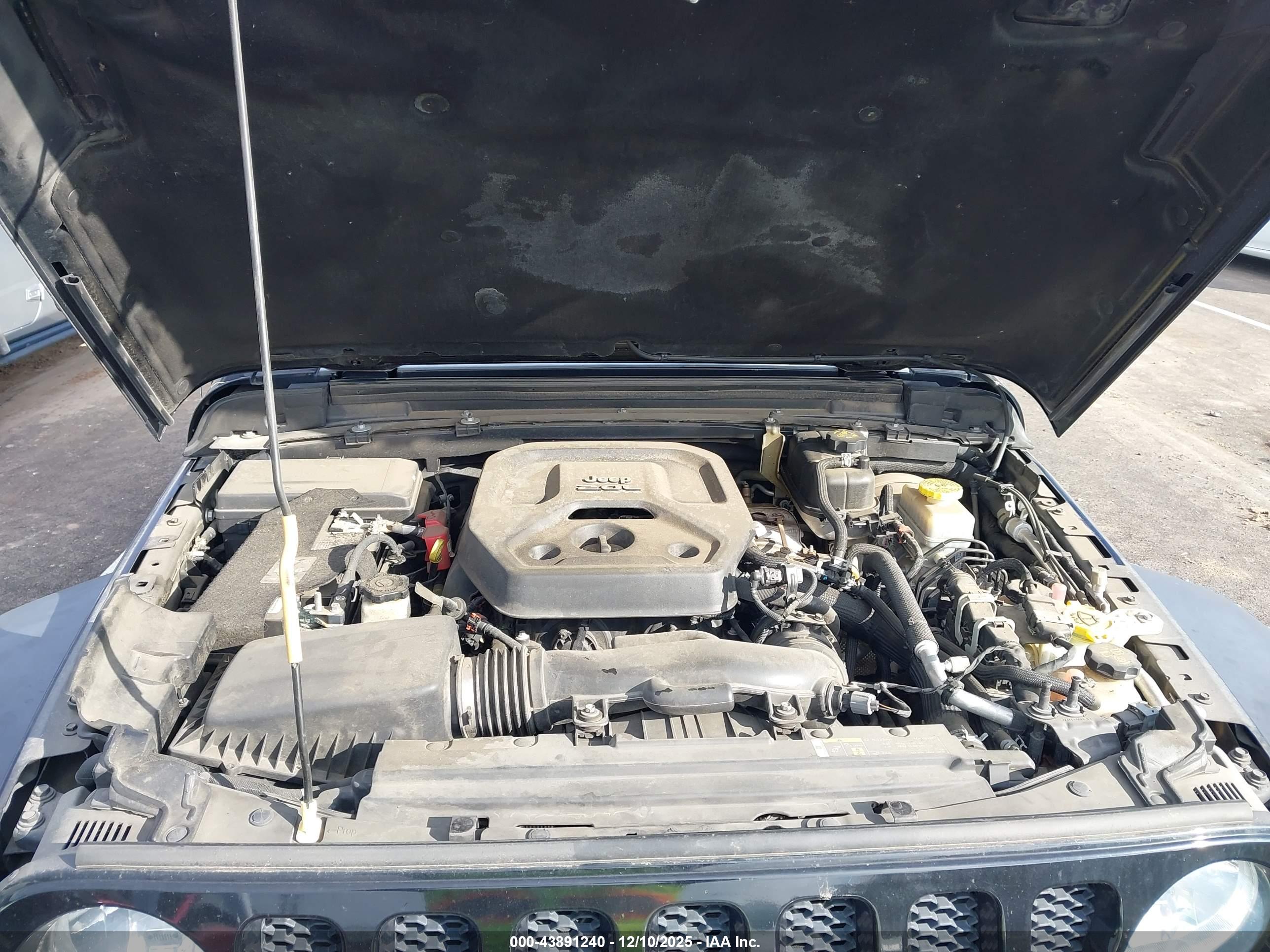 JEEP WRANGLER image 10
