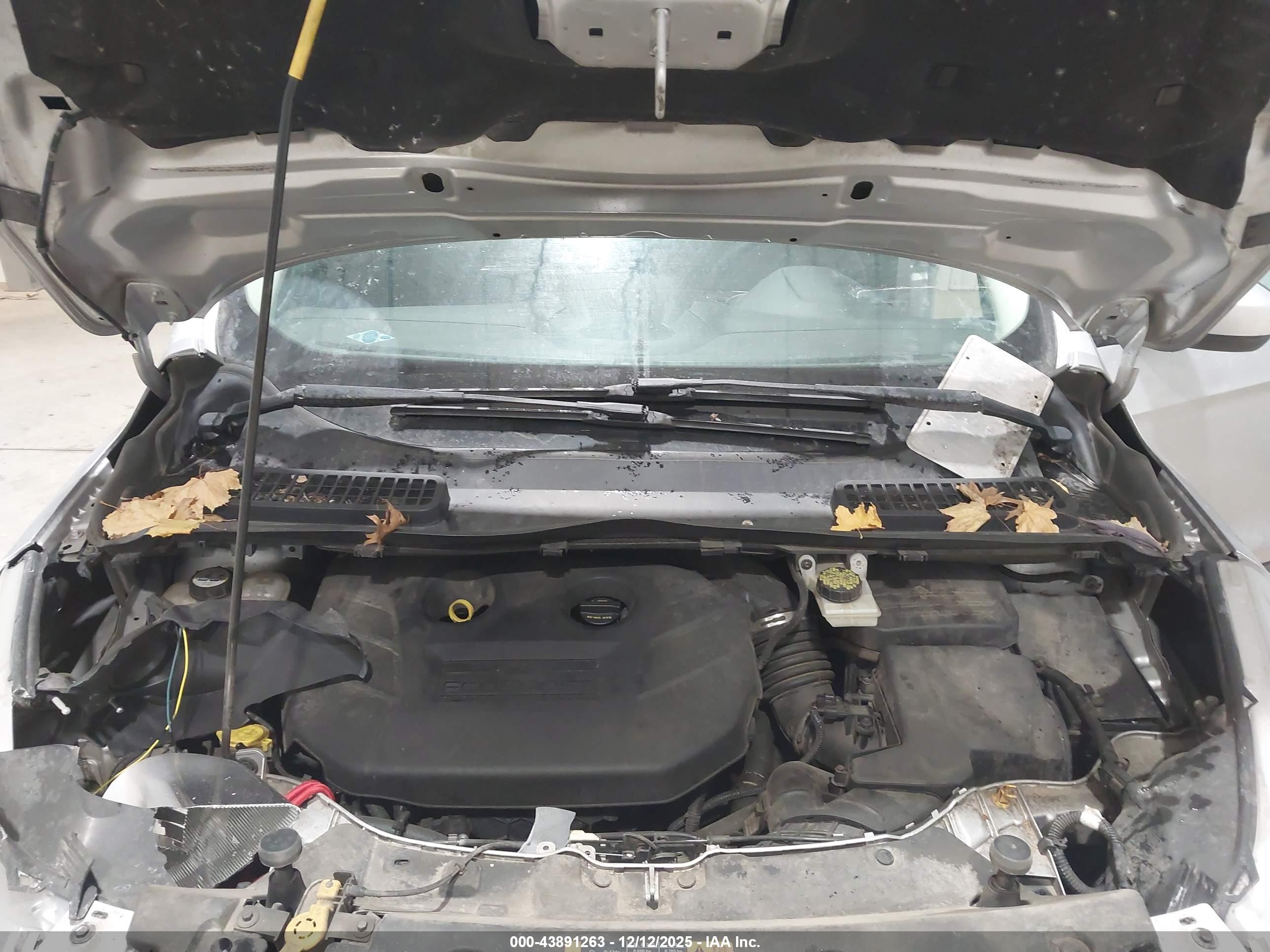 FORD ESCAPE image 10