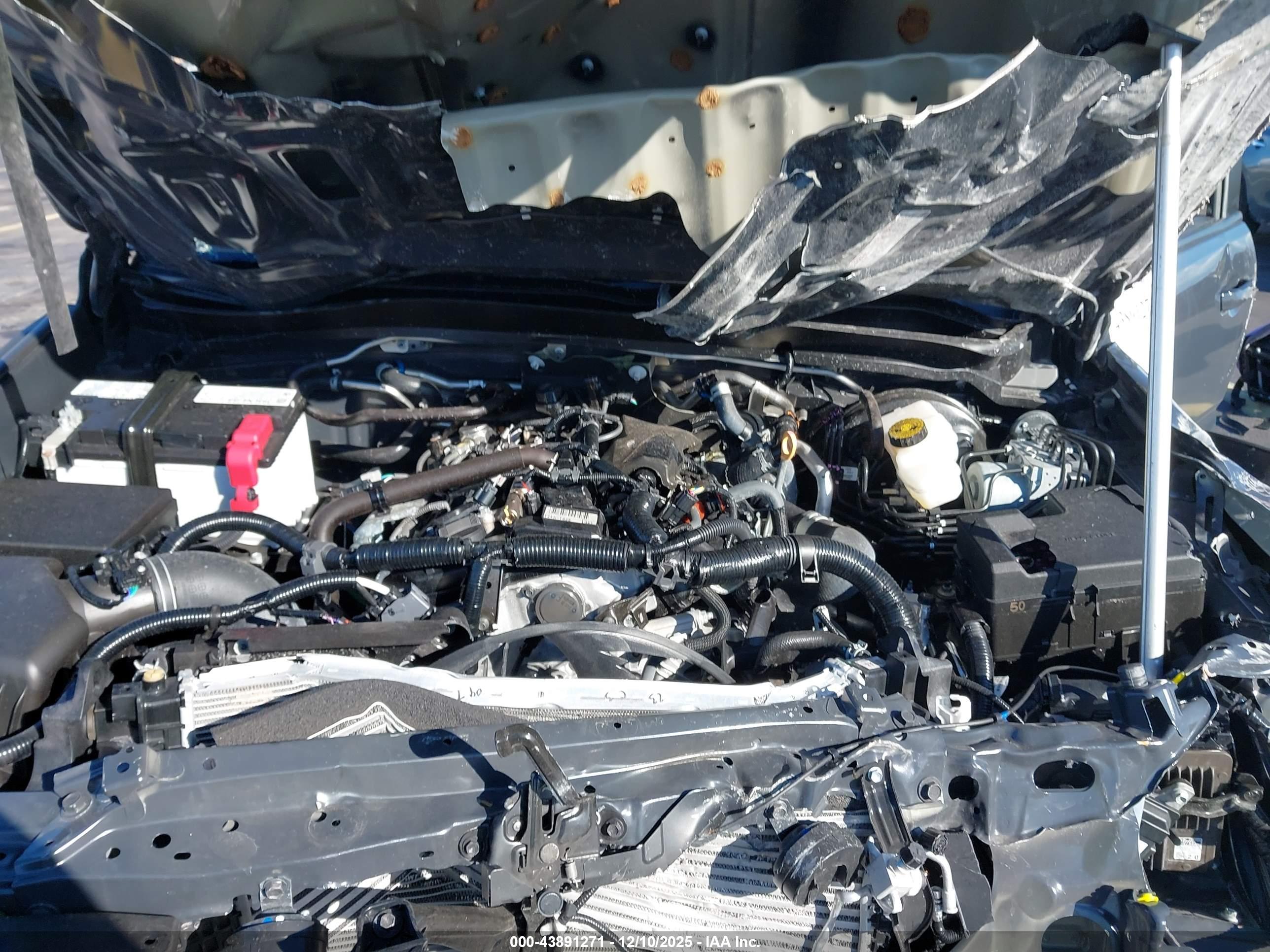 TOYOTA TACOMA image 10