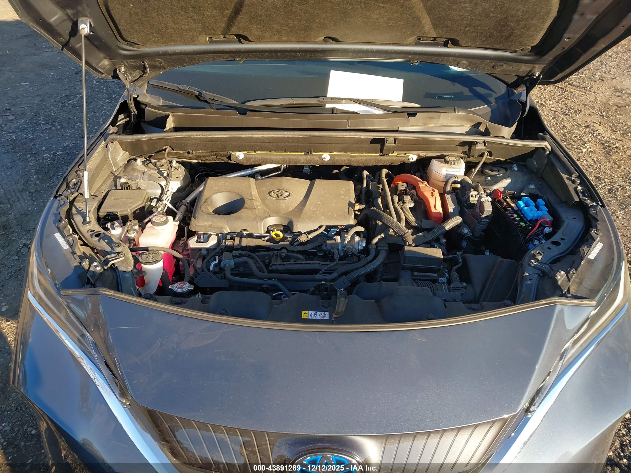 TOYOTA VENZA image 10