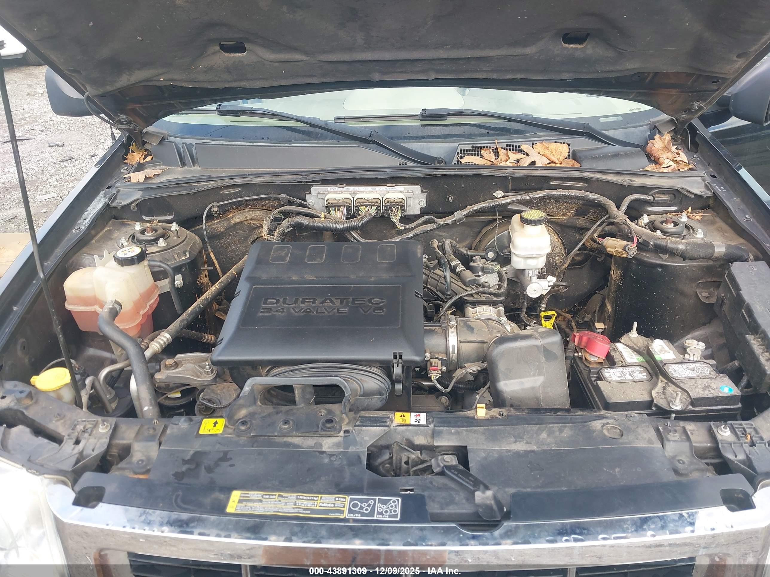 FORD ESCAPE image 10