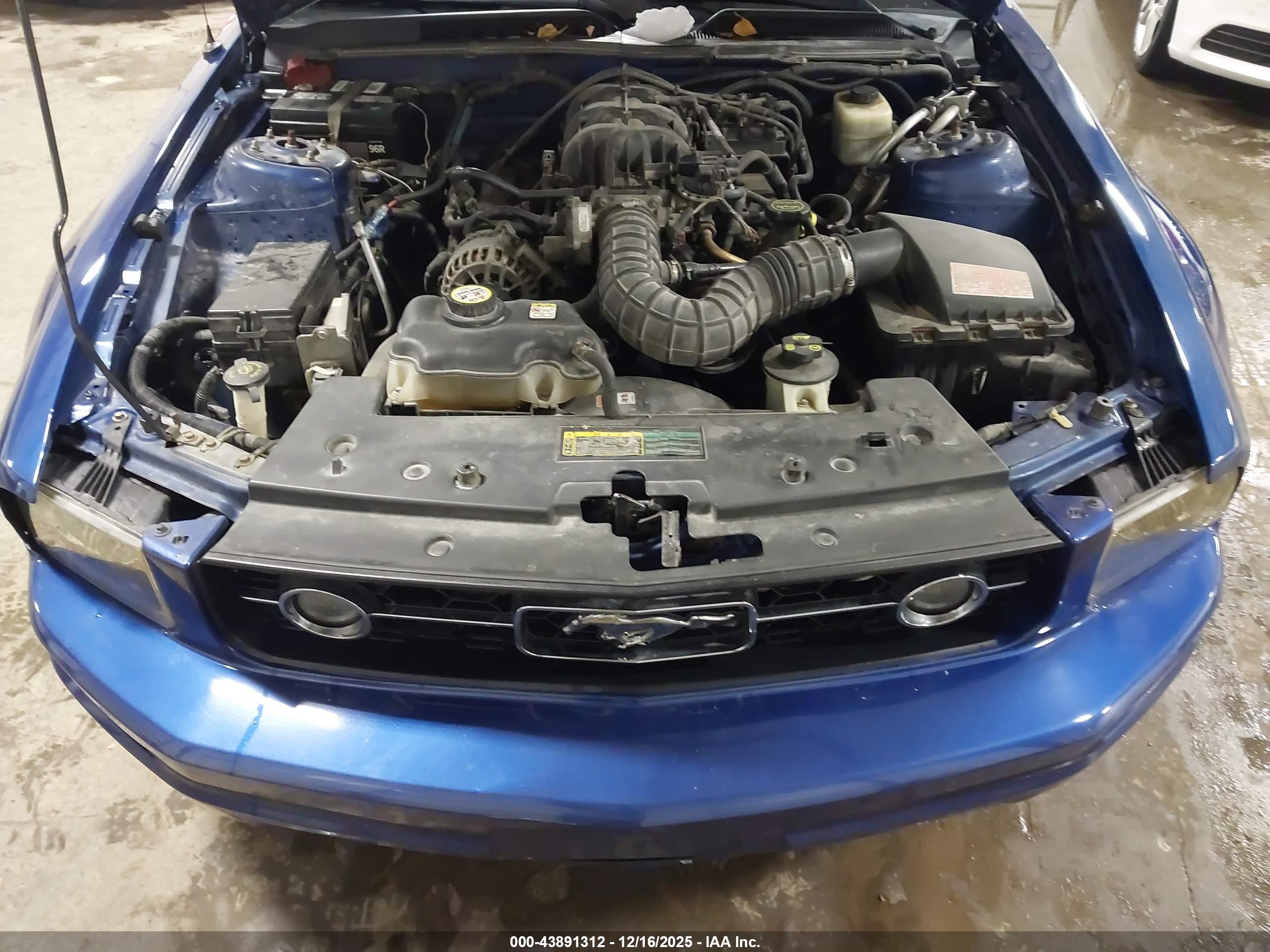 FORD MUSTANG image 10