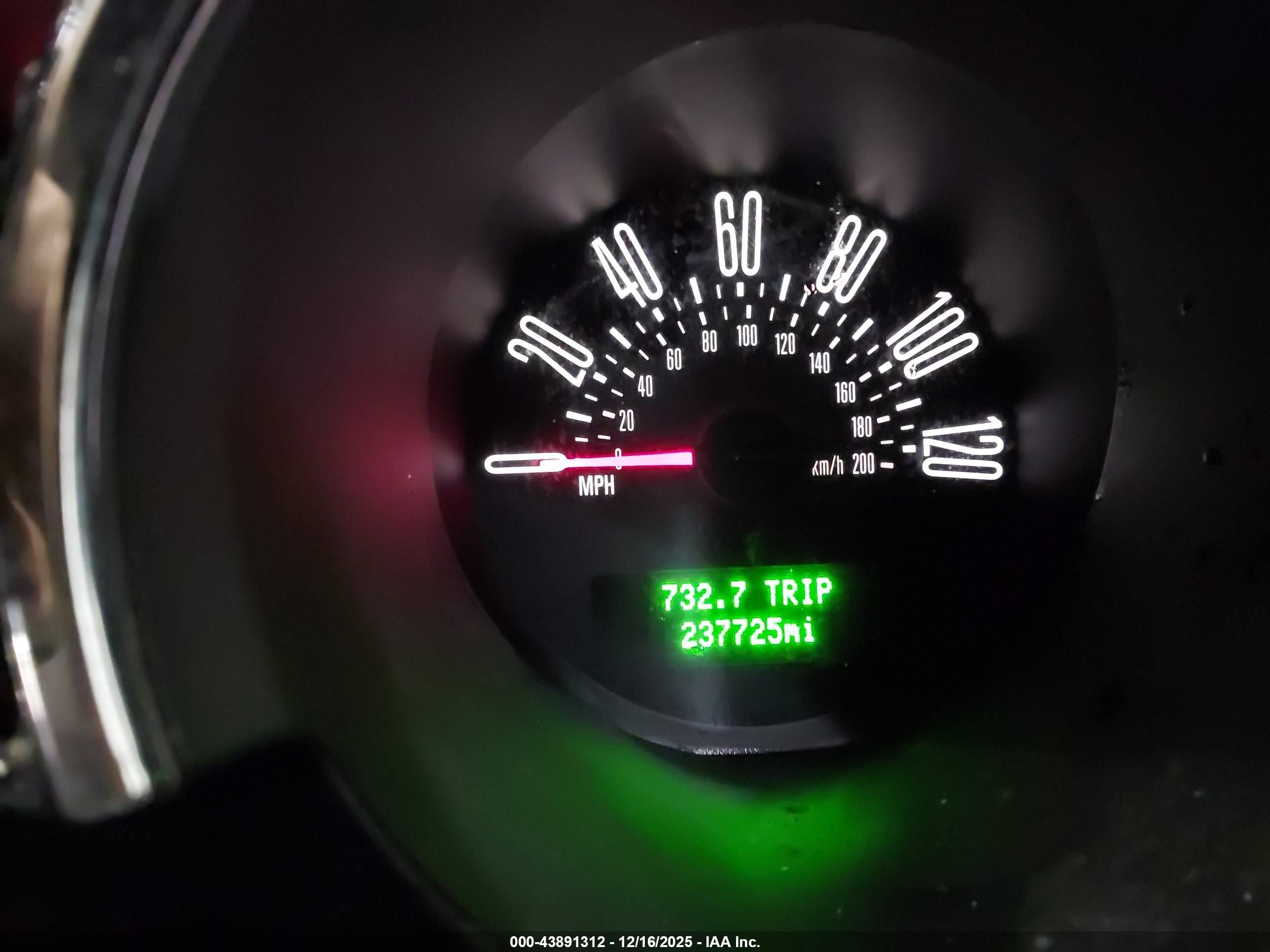 FORD MUSTANG image 7