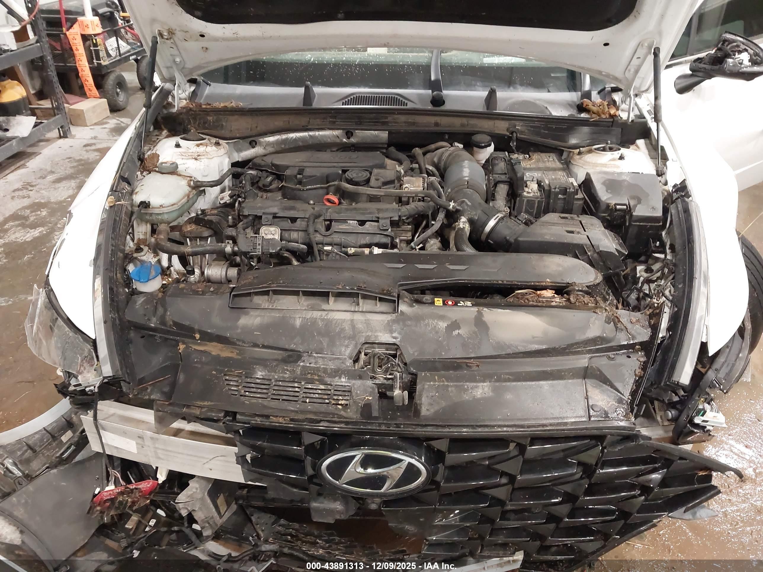 HYUNDAI SONATA image 10