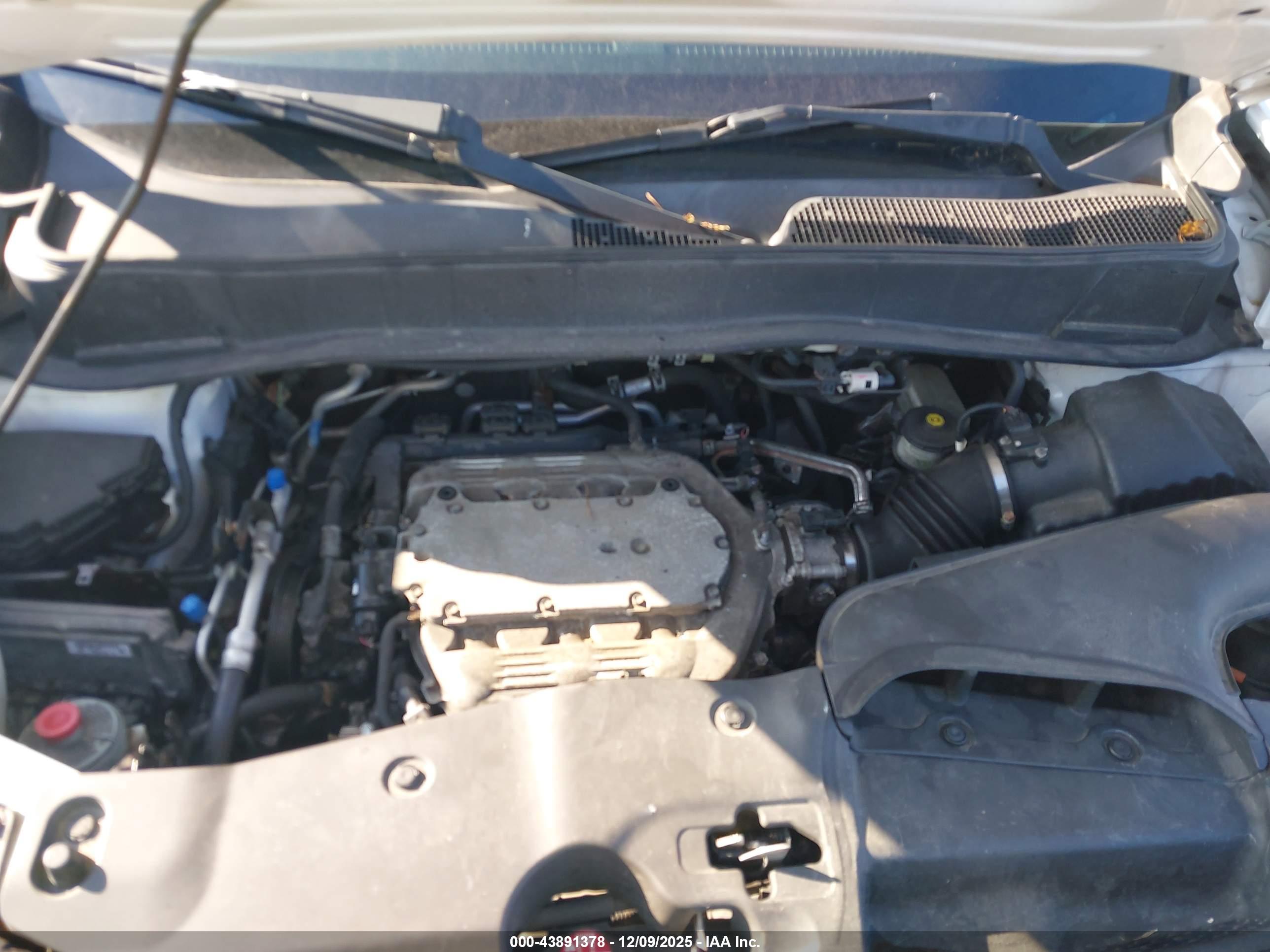 HONDA PILOT image 10
