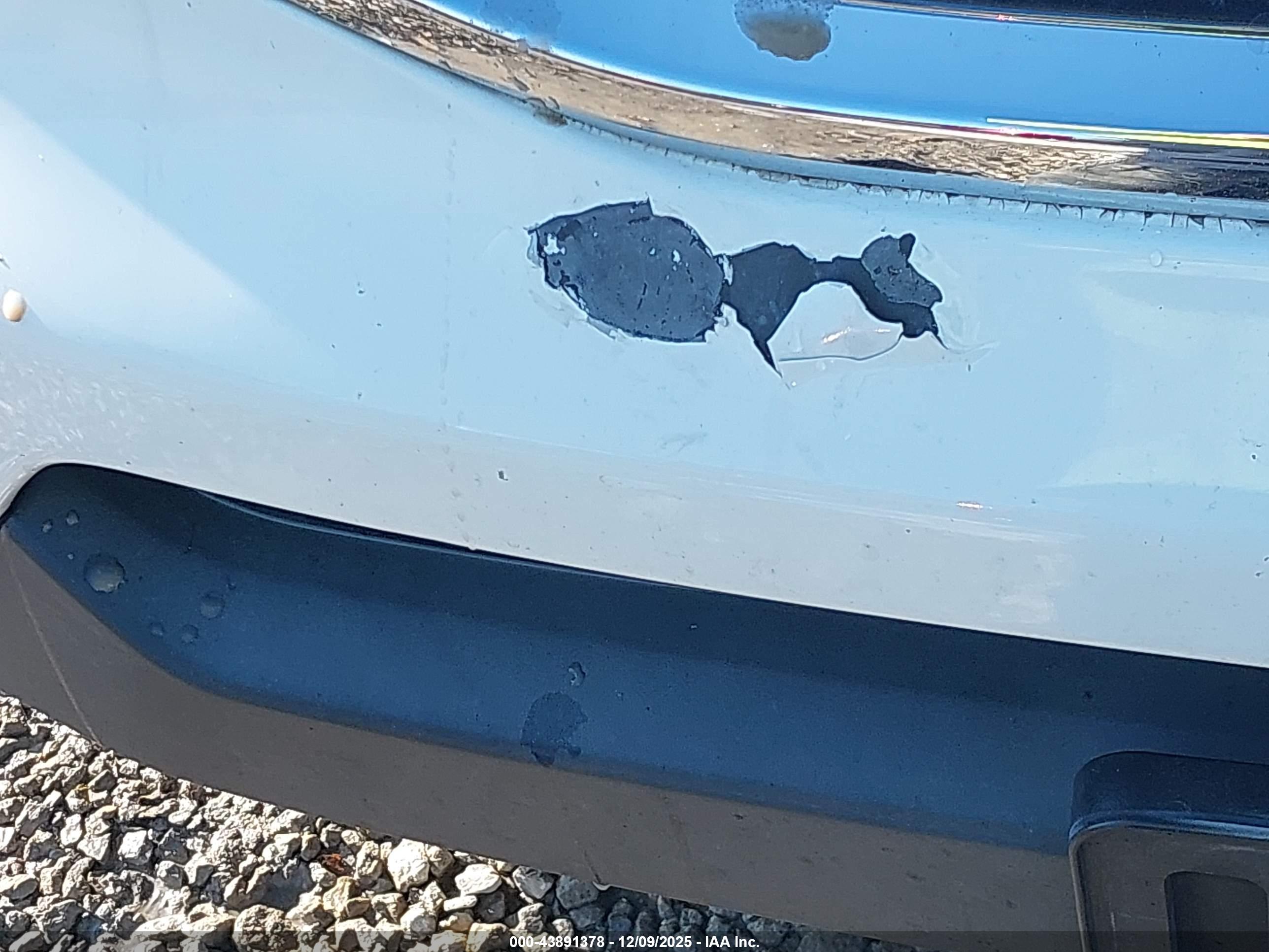 HONDA PILOT image 6