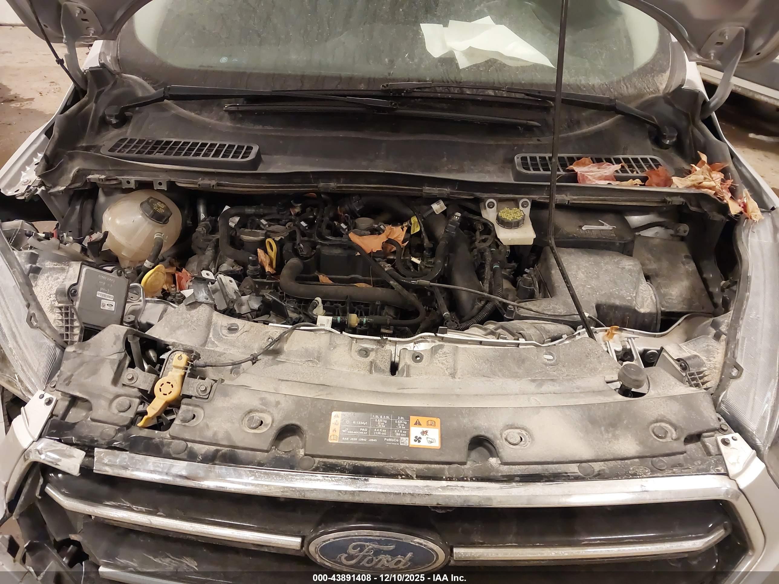 FORD ESCAPE image 10