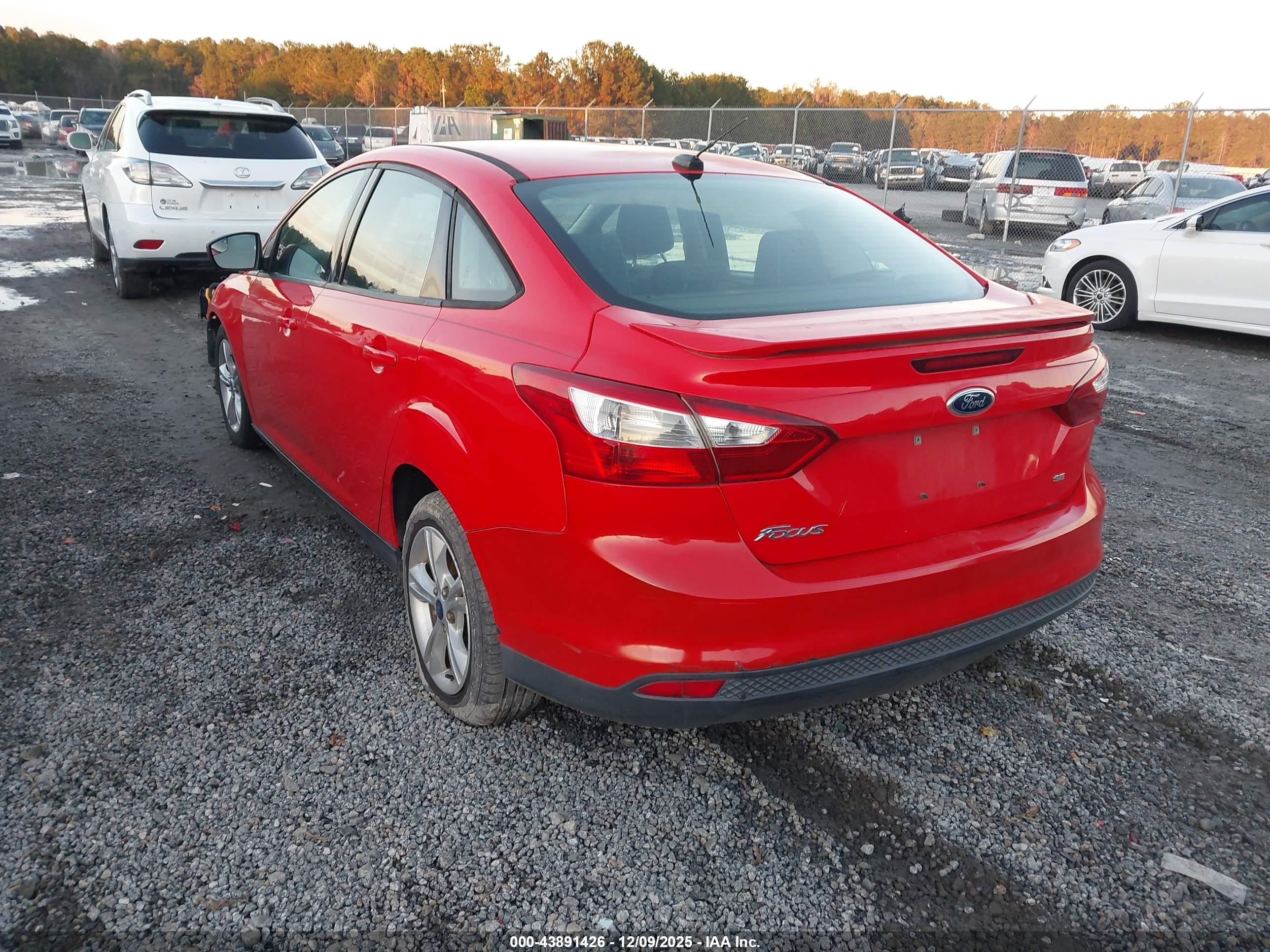FORD FOCUS image 3
