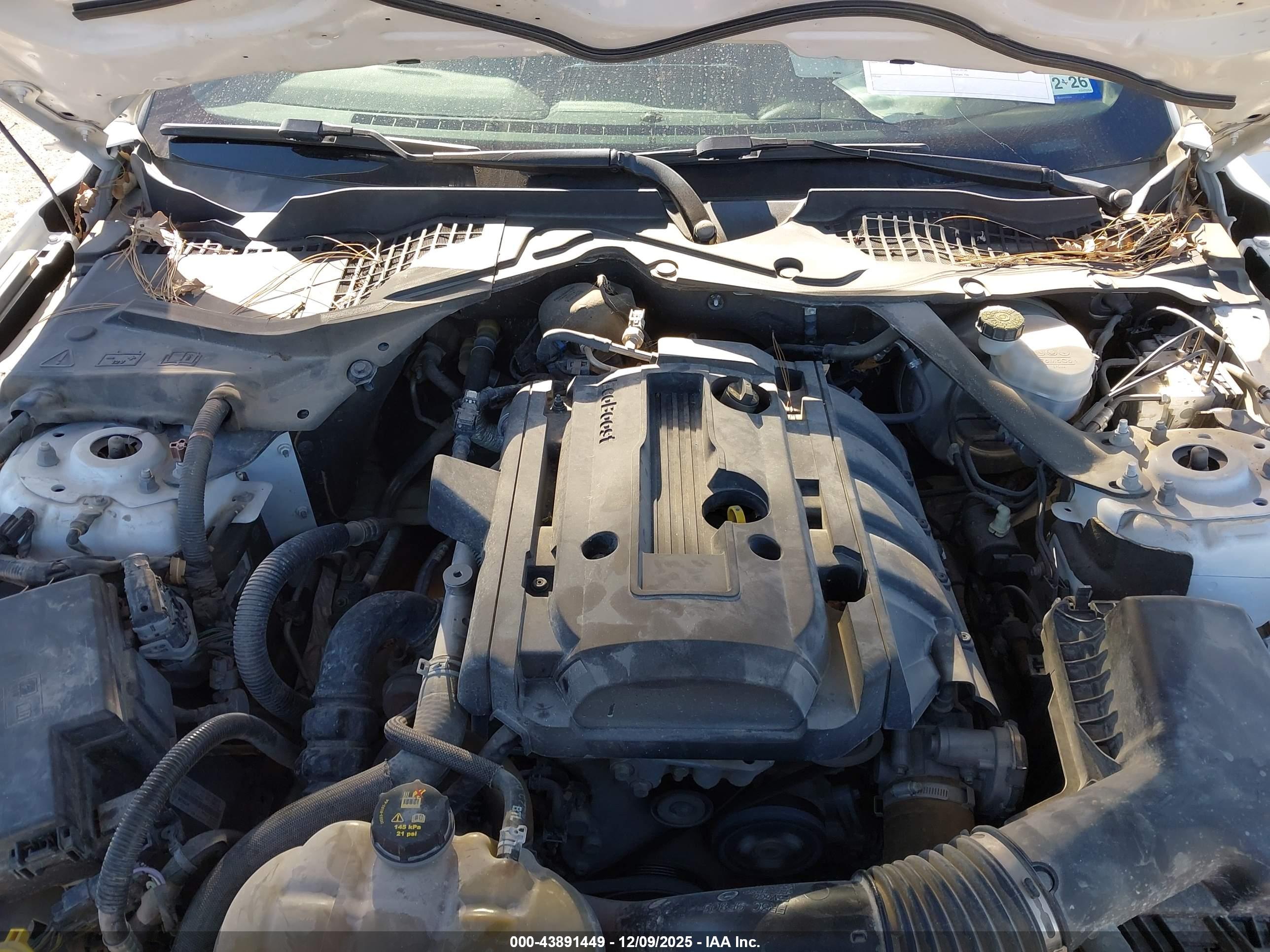 FORD MUSTANG image 10
